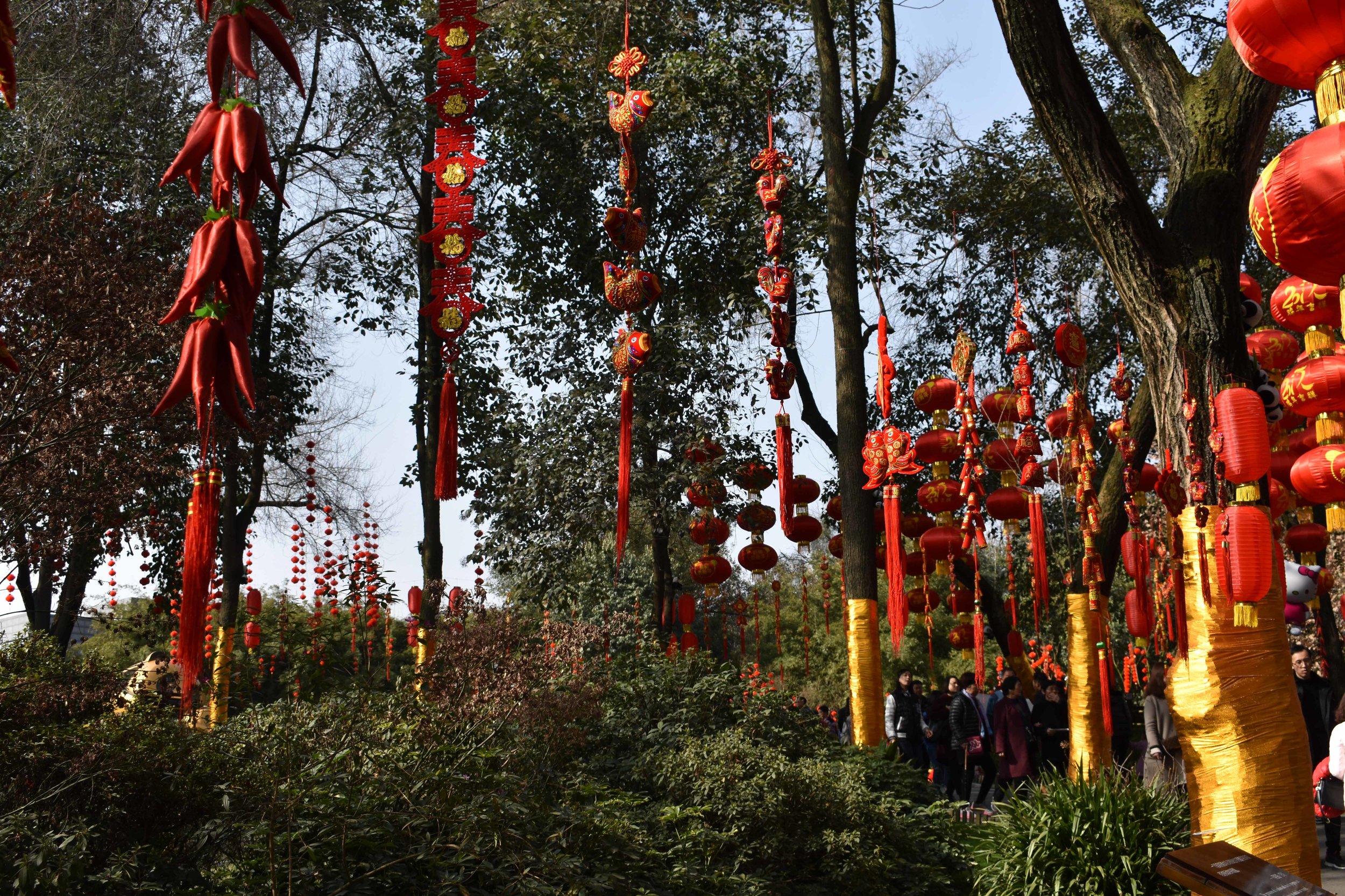 Chinese New Year at the Panda Base