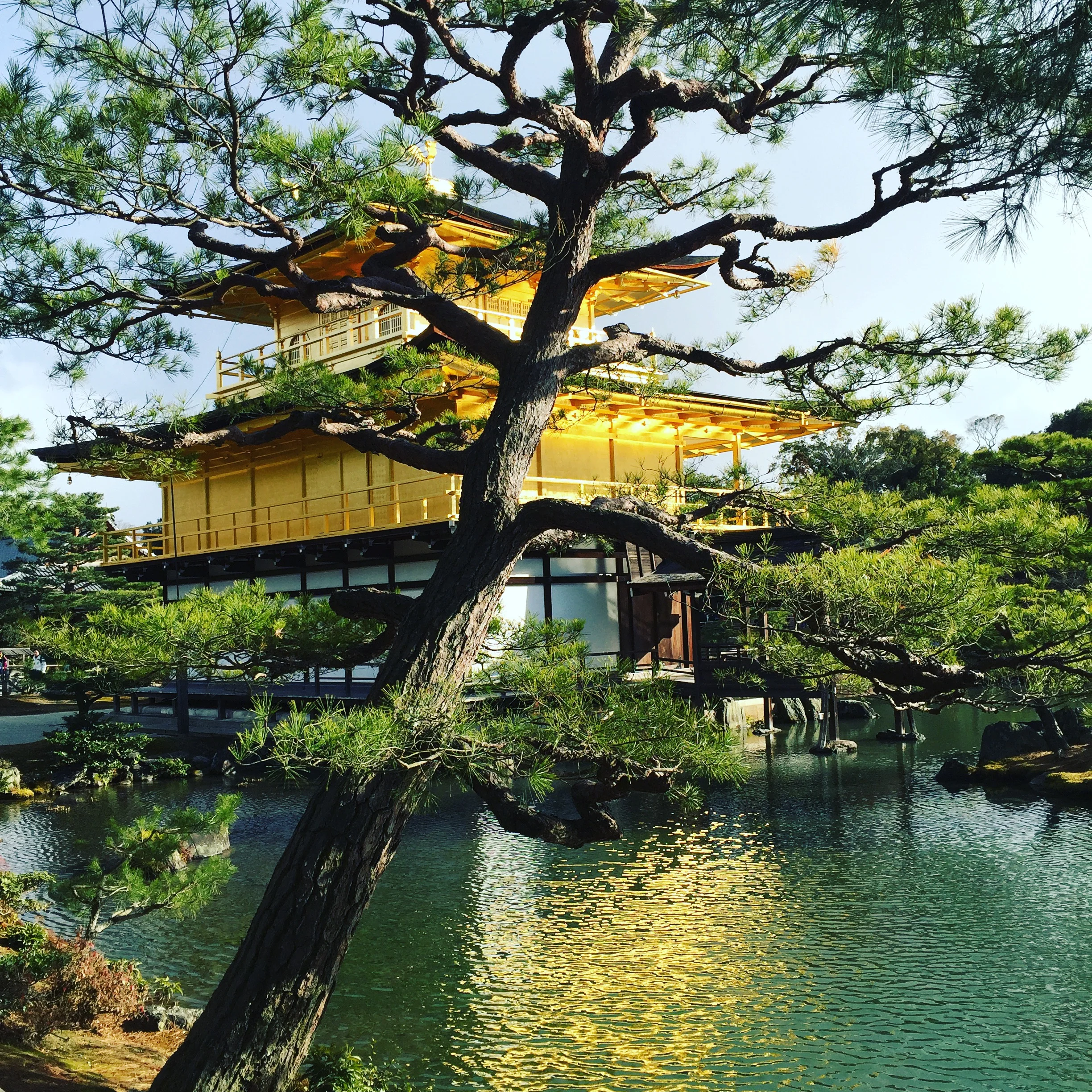 Kinkakuji Temple