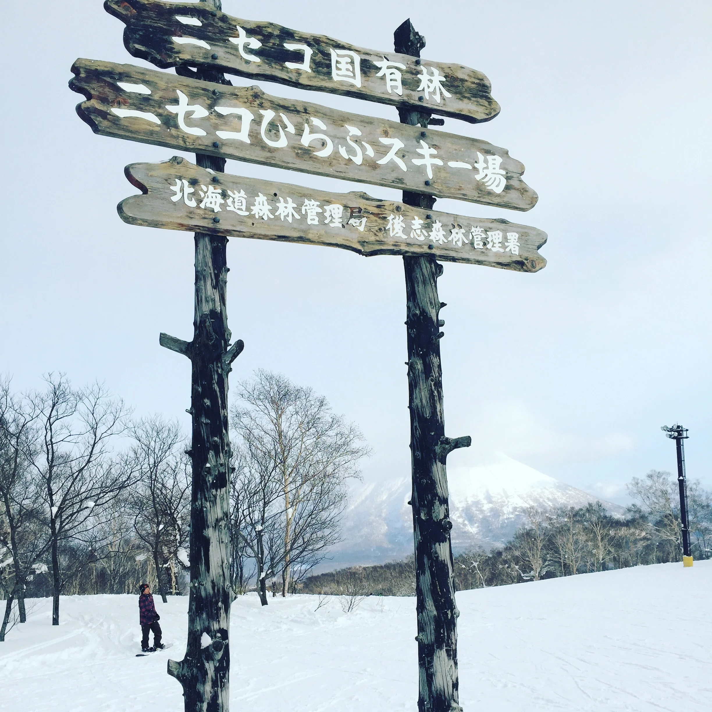 Niseko.jpg