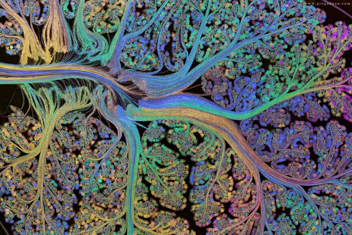 Cerebellum-multicolor-closeup-11.jpg