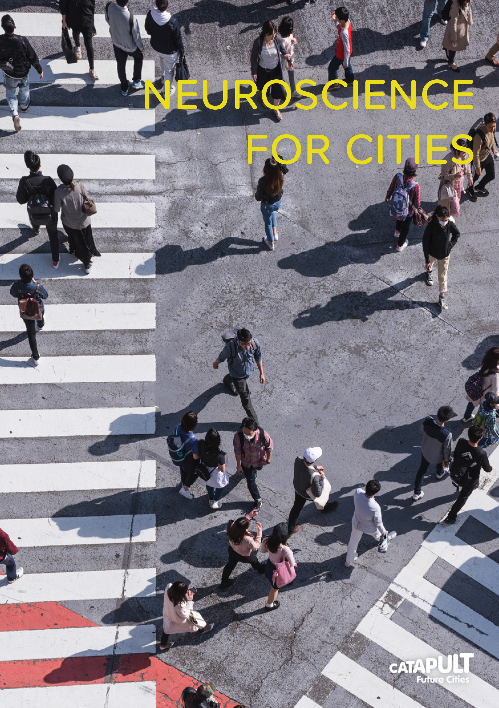 Neuroscience for Cities (FCC).jpg