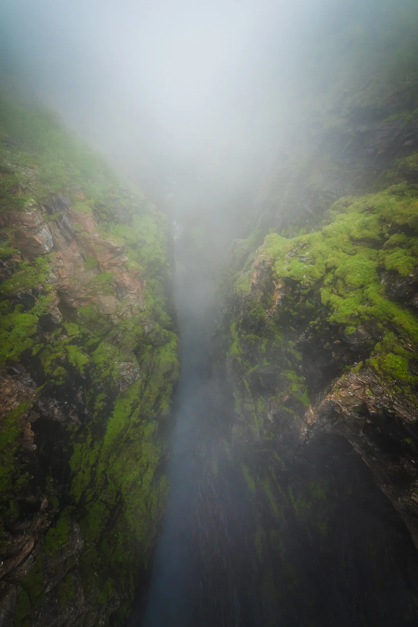 -DSC_4667.jpg