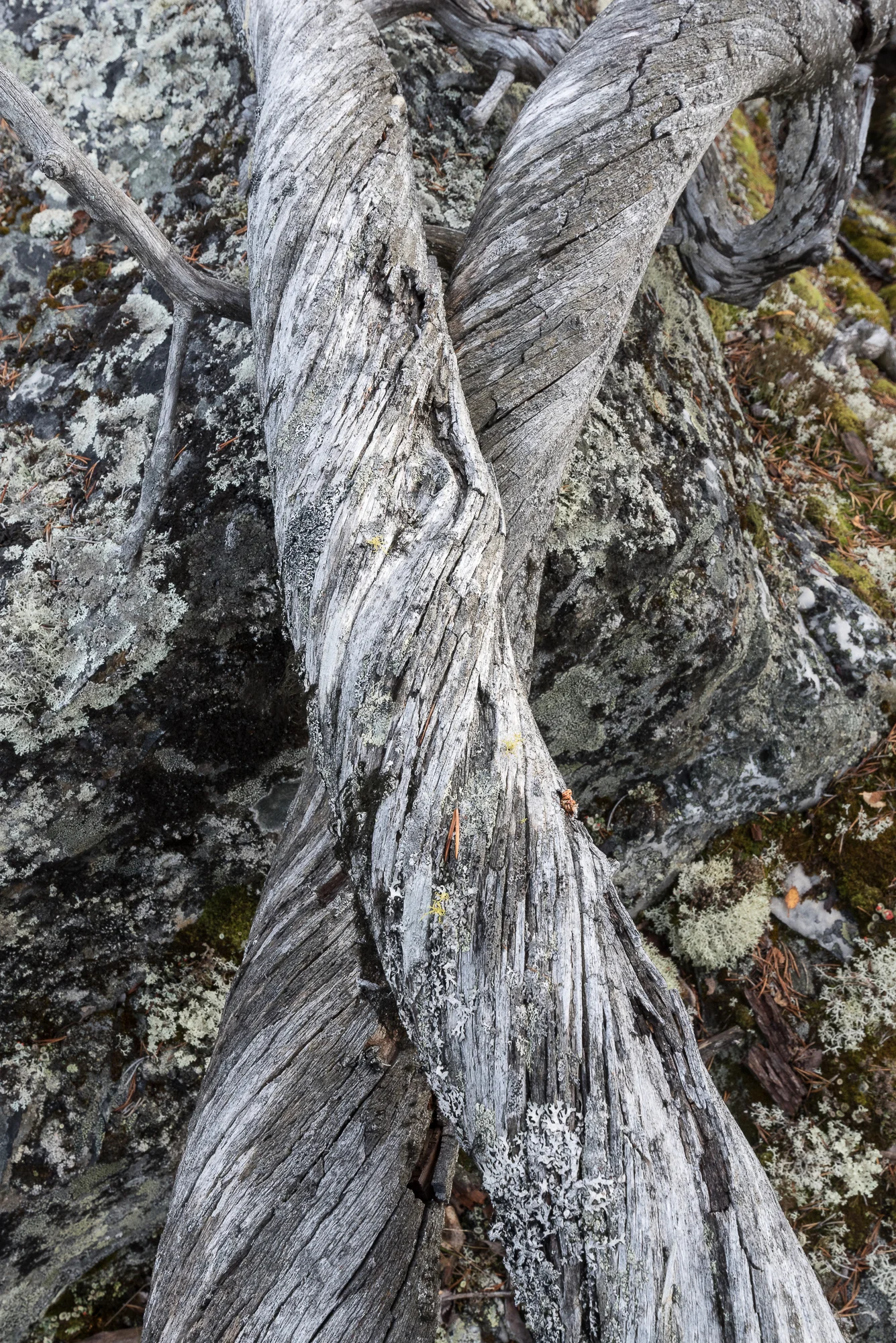 Jotunheimen-DSC_7183.jpg