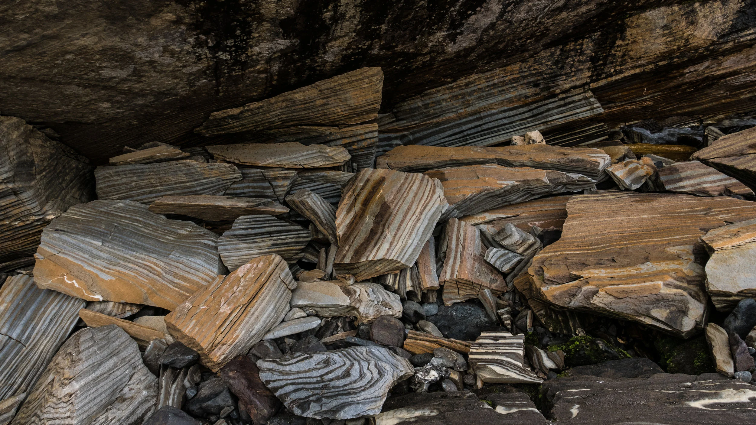 Láhko Nasjonalpark Workshop 2019. ©Bjørn Joachimsen.