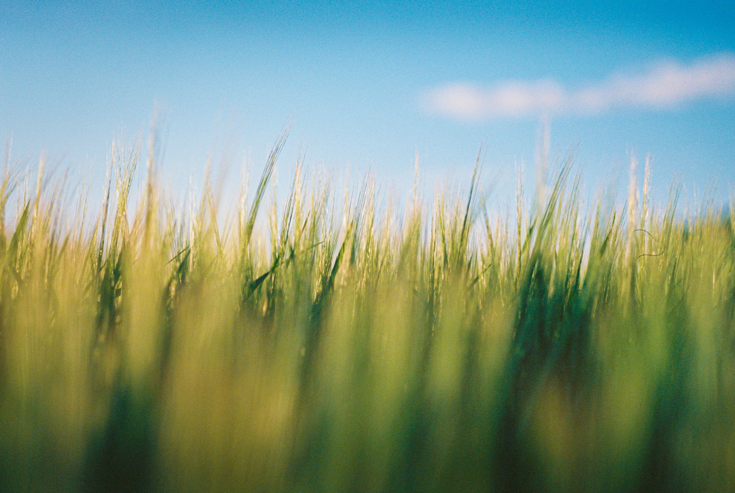 Kreativ fotoredigering med mobil og nettbrett [Tønsberg]