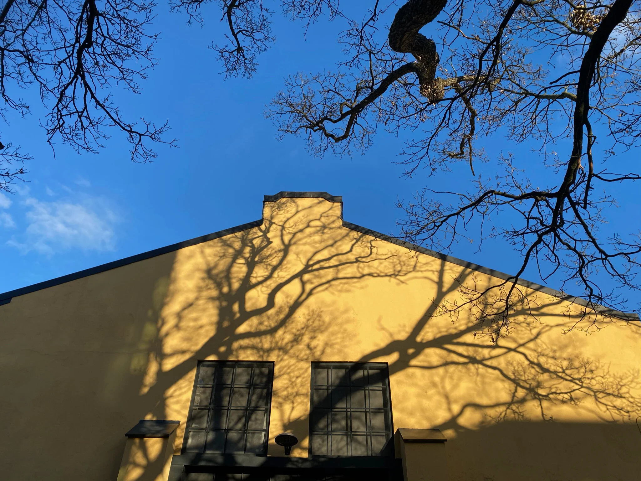 Mobilfotokurs i Tønsberg. Lær å utnytte fotomulighetene med din iPhone. ©Bjørn Joachimsen.