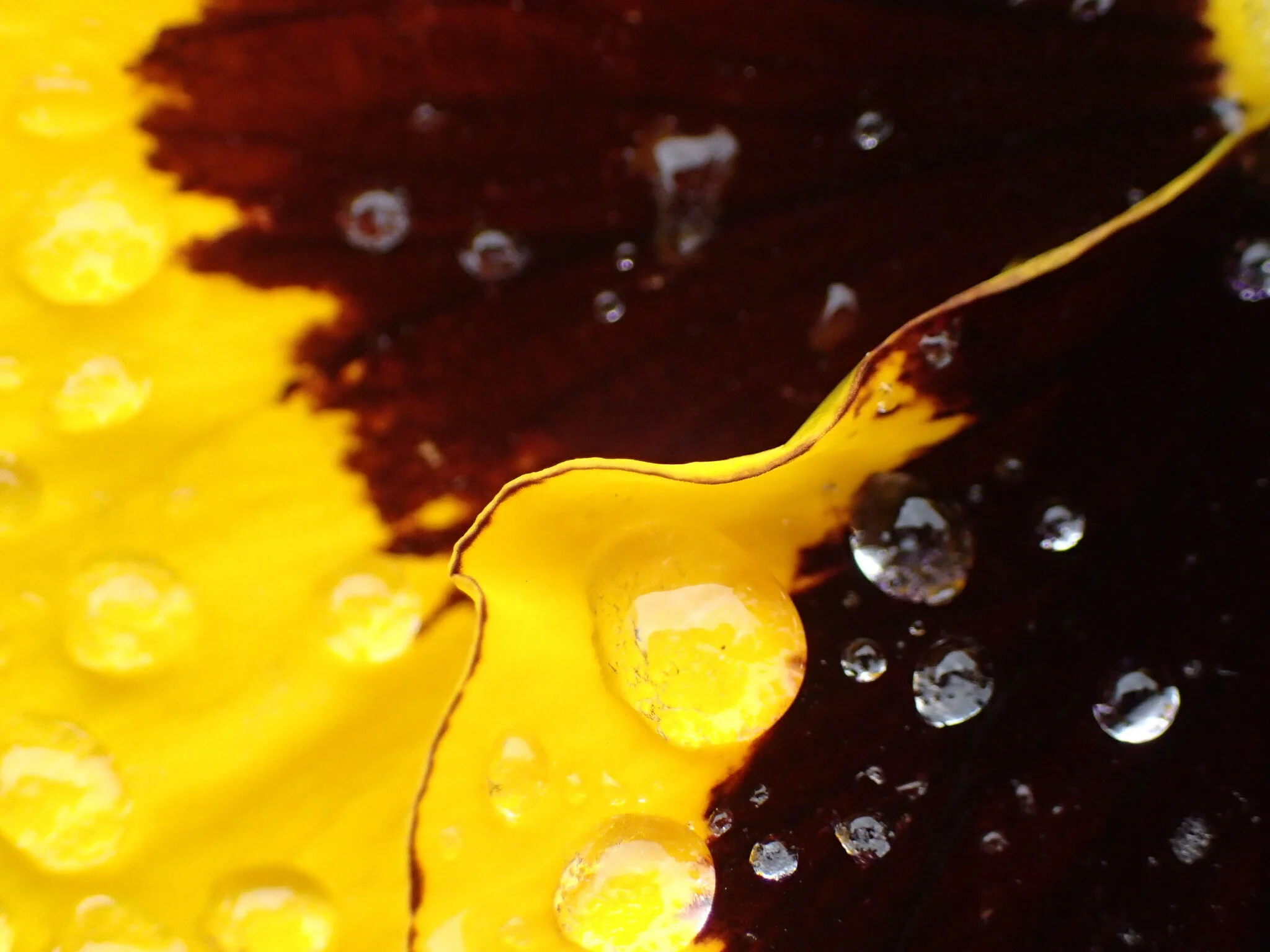 E5675620-DB19-4B07-B776-B22A1C1A9657.jpeg