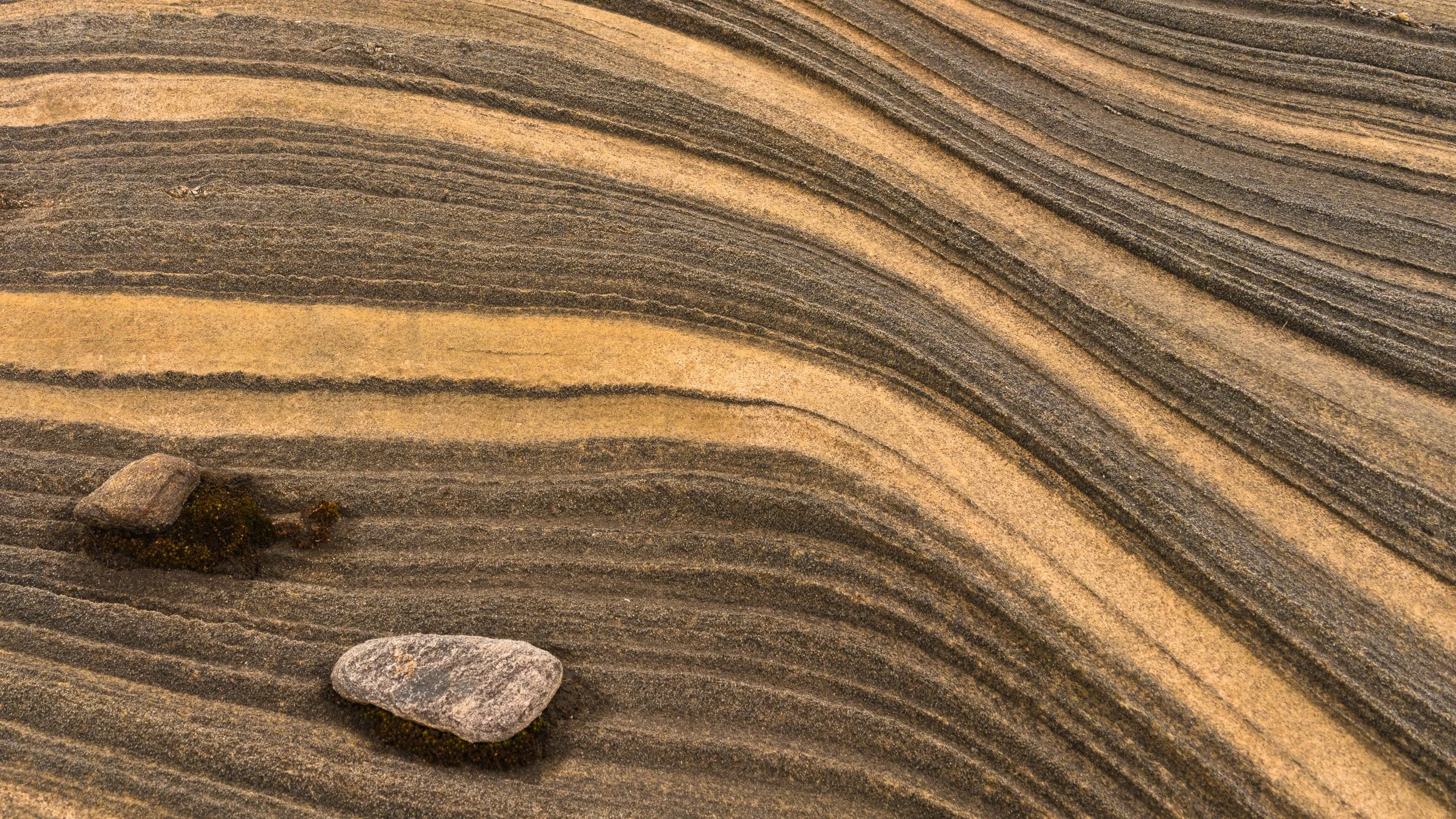 Láhko nasjonalpark #1-_DSC9564-©Bjørn Joachimsen.jpg