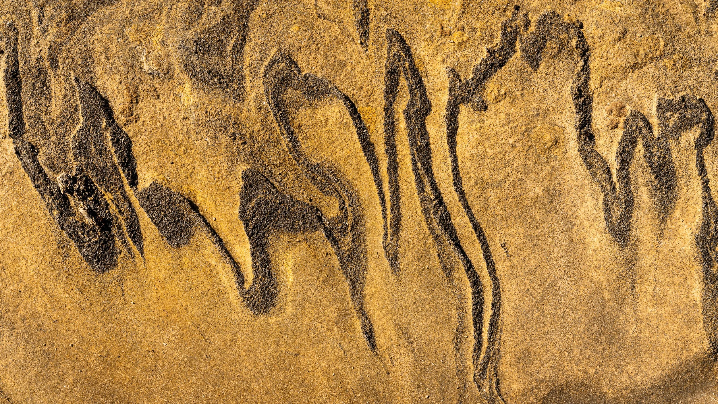 Láhko nasjonalpark-_DSC9729-©Bjørn Joachimsen.jpg