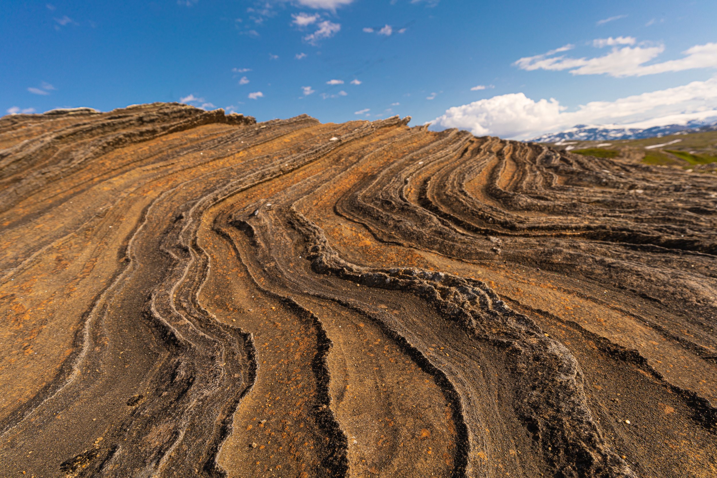 Láhko nasjonalpark-_DSC9777-©Bjørn Joachimsen (1).jpg