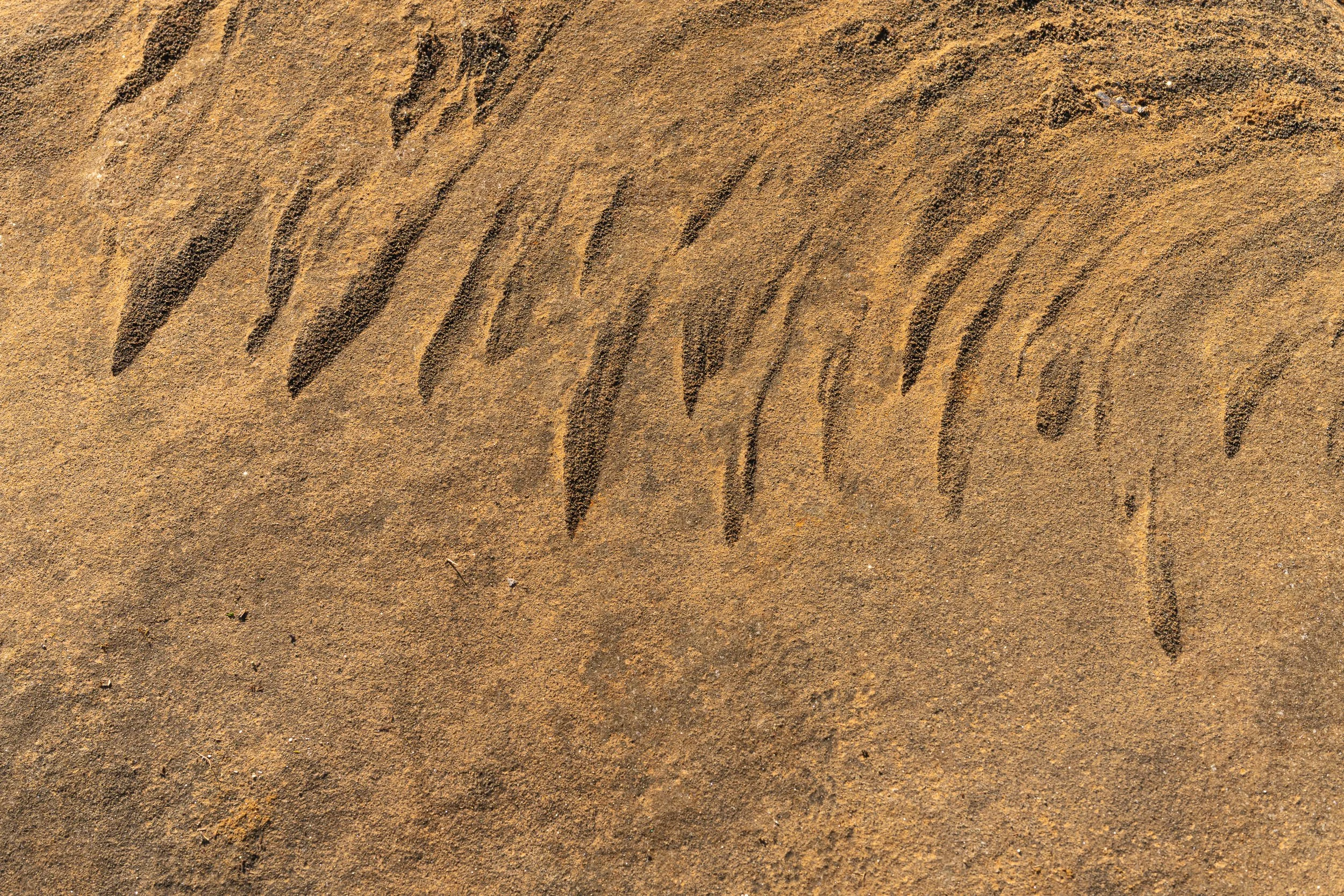 Láhko nasjonalpark-_DSC9740-©Bjørn Joachimsen.jpg