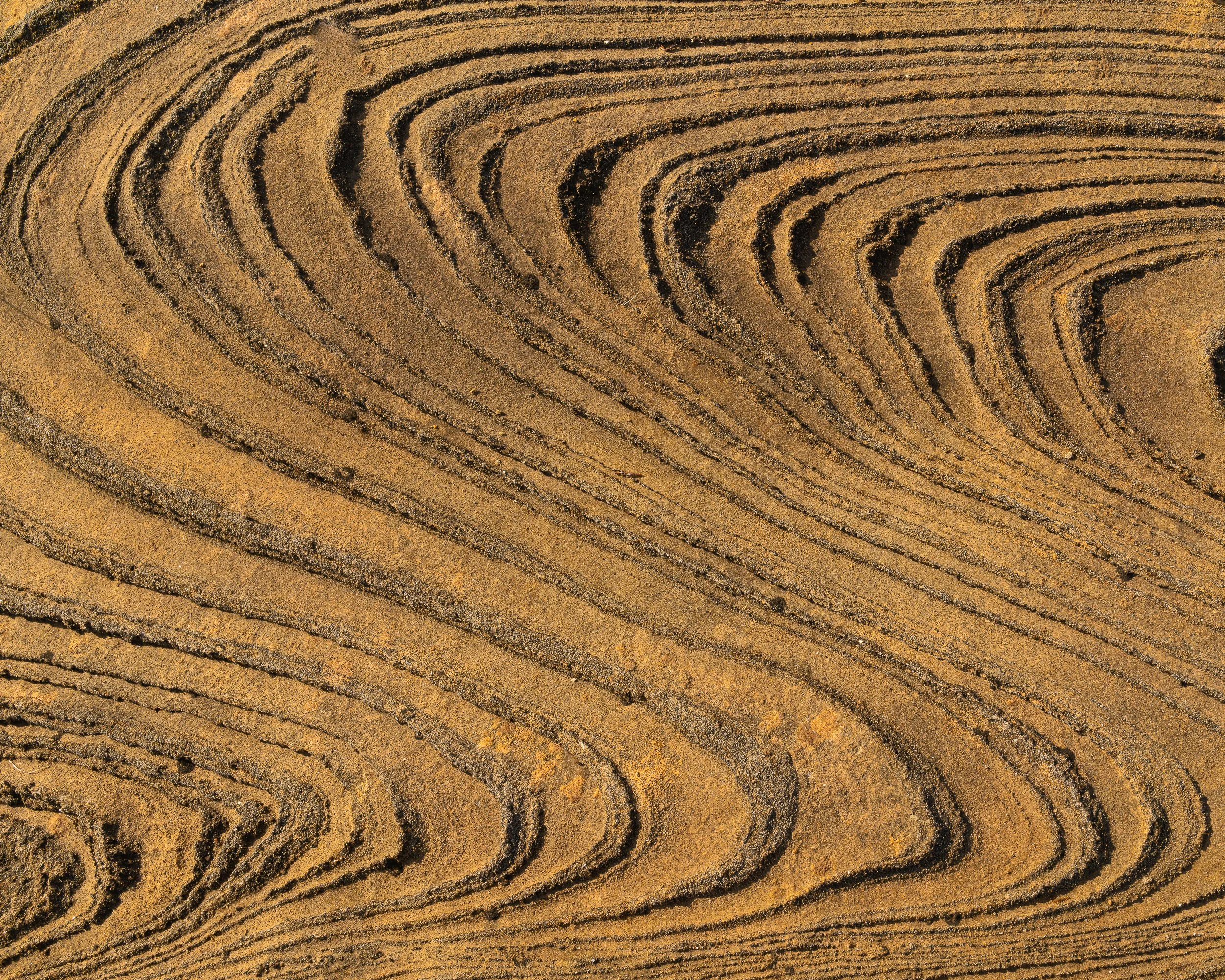 Láhko nasjonalpark-_DSC9805-©Bjørn Joachimsen (1).jpg