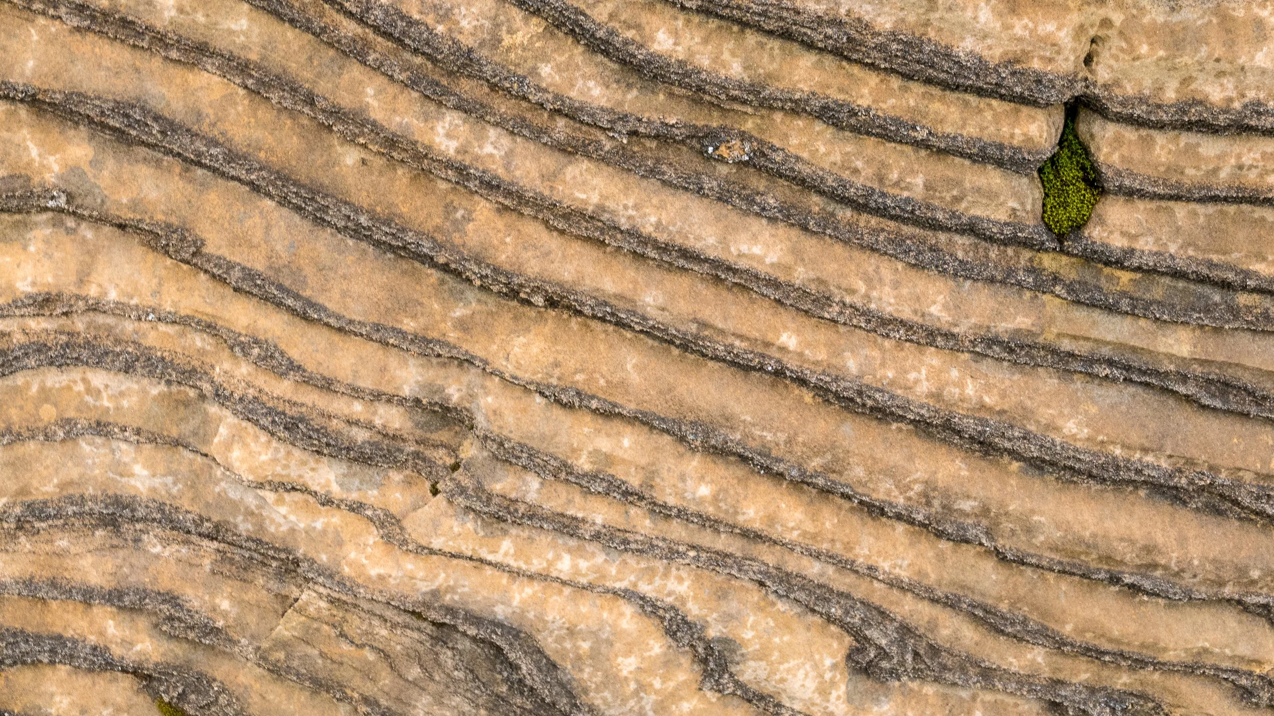 Láhko Nasjonalpark-P1000425-©Bjørn Joachimsen.jpg