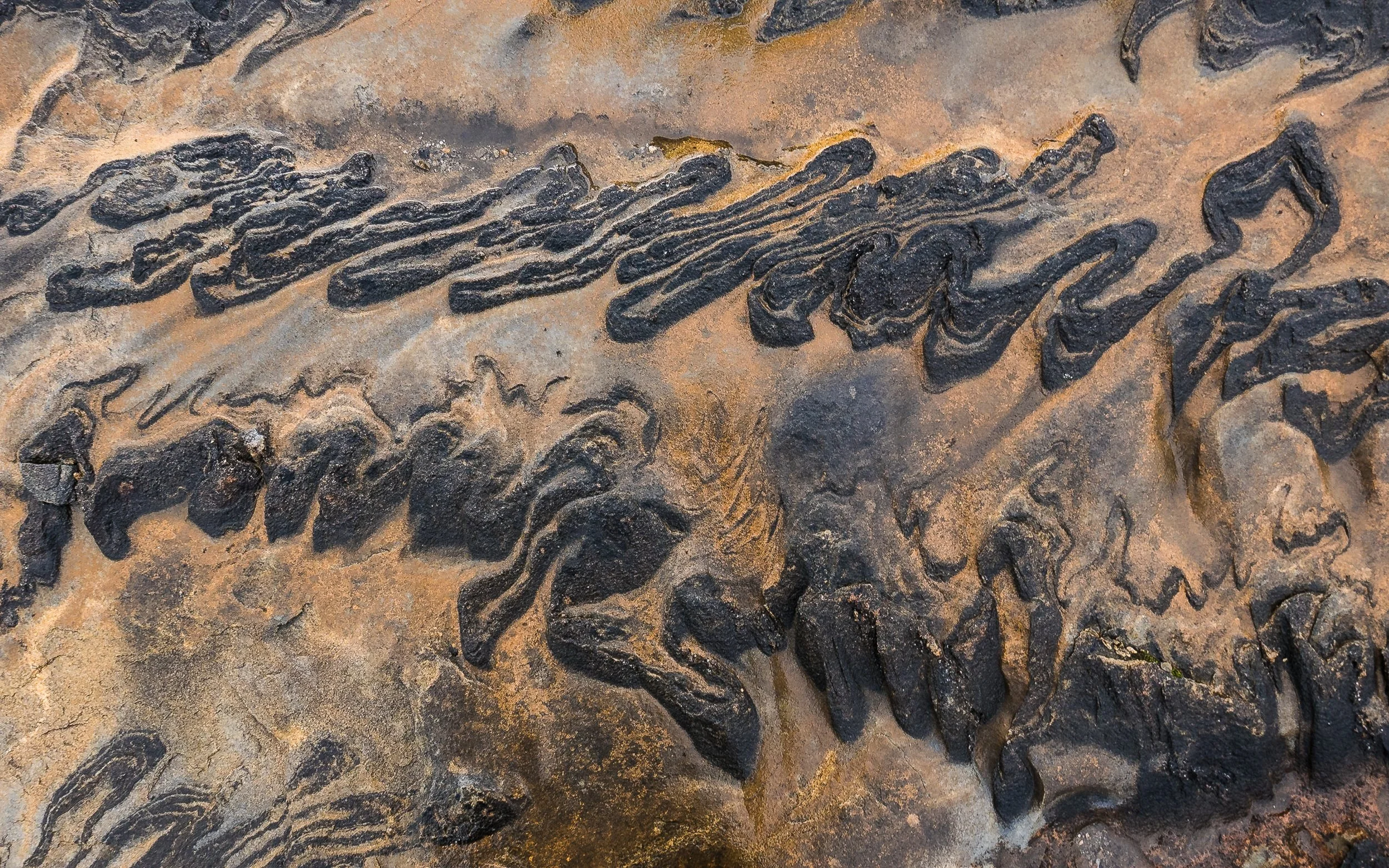 Láhko Nasjonalpark-P1000455-©Bjørn Joachimsen.jpg