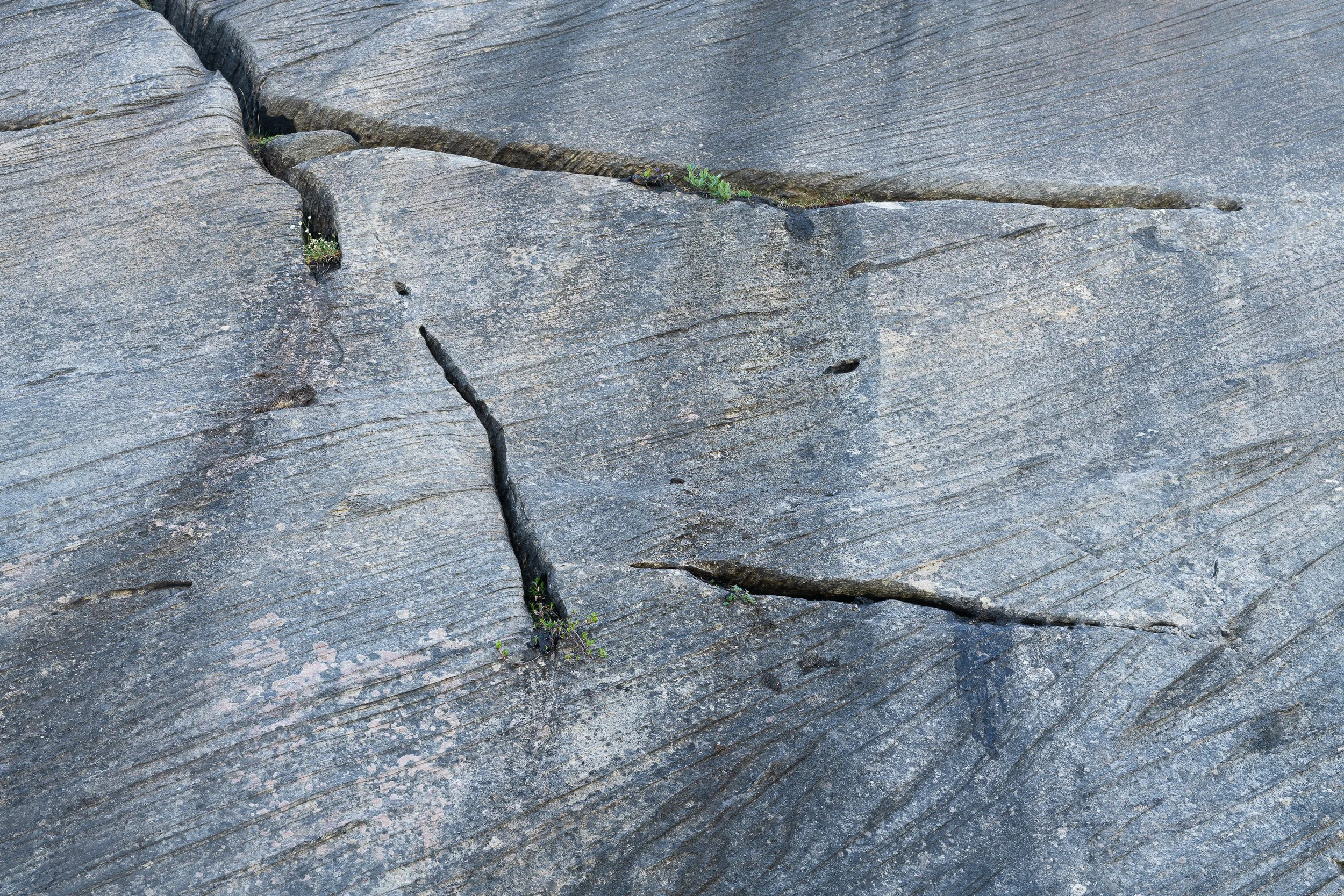 Láhko-_DSC3911-©Bjørn Joachimsen.jpg