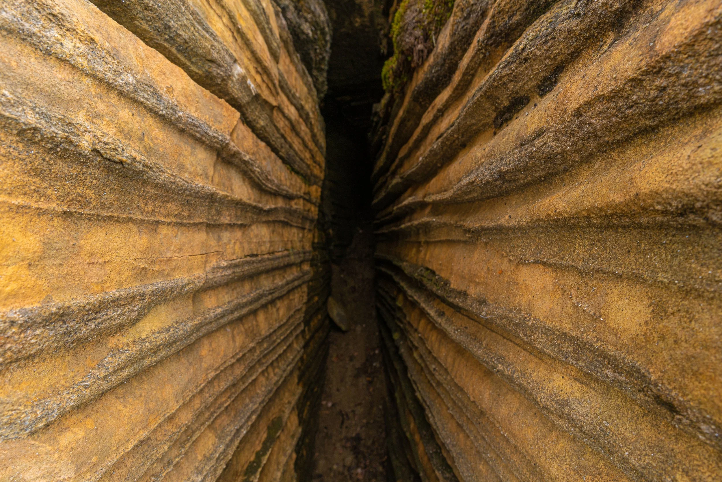 Láhko-_DSC3958-©Bjørn Joachimsen (1).jpg