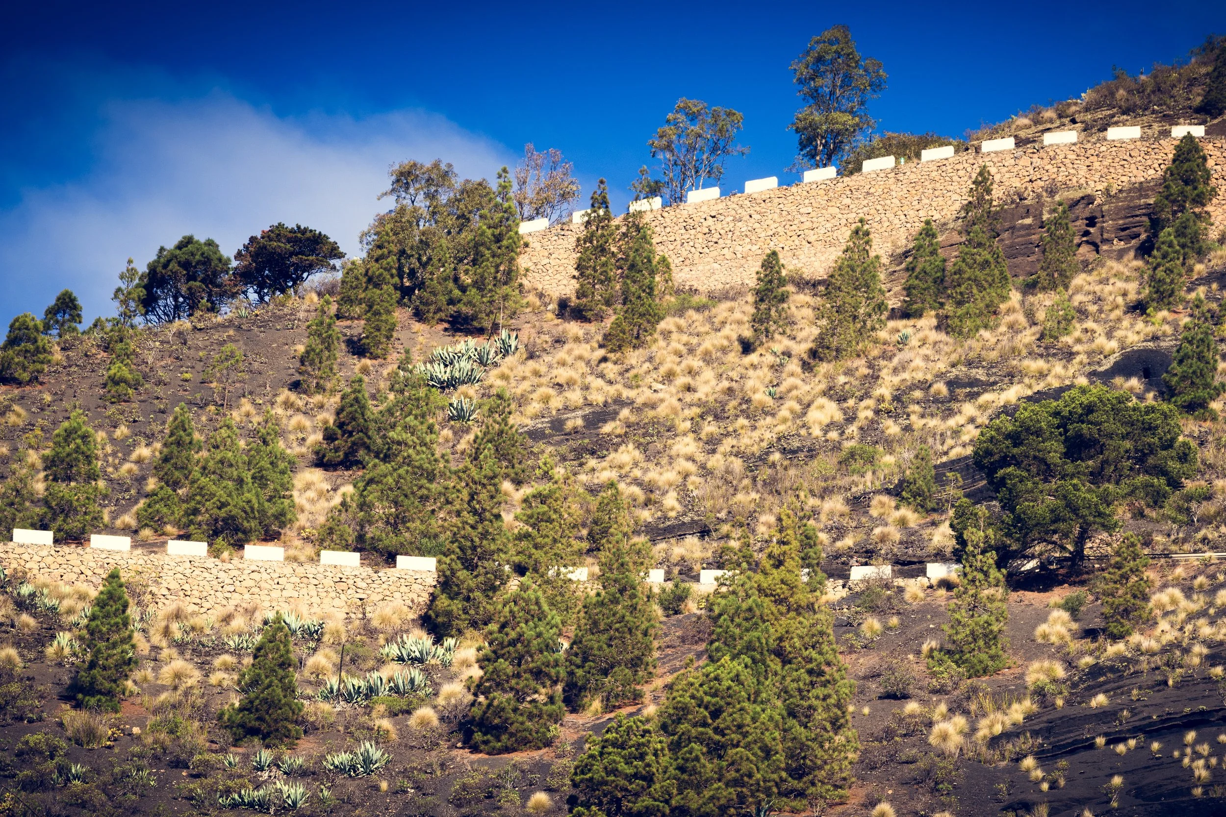 Bandama Caldera | Gran Canaria | Spain-_IMG8293-©Bjørn Joachimsen.jpg