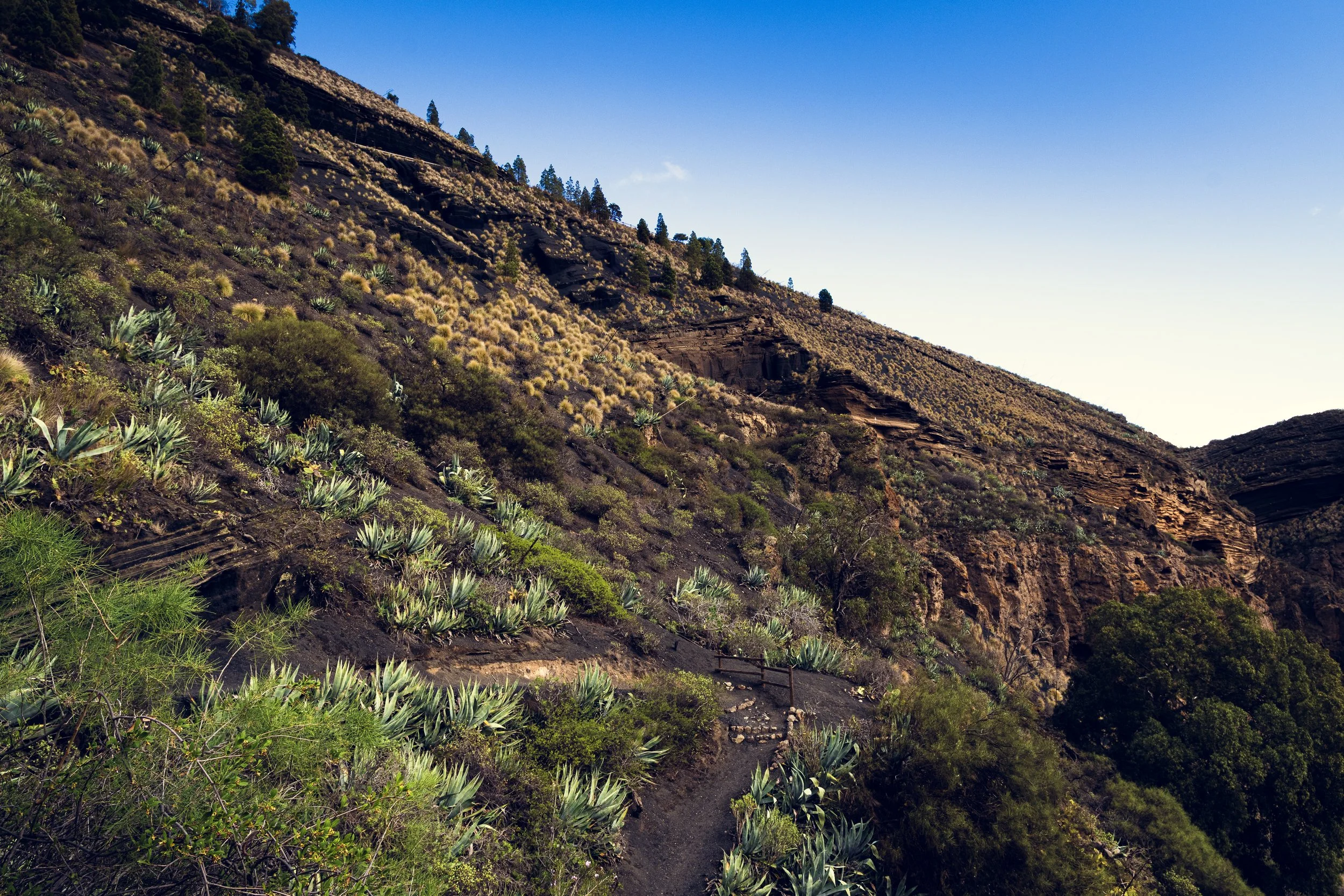 Bandama Caldera | Gran Canaria | Spain-_IMG8327-©Bjørn Joachimsen.jpg