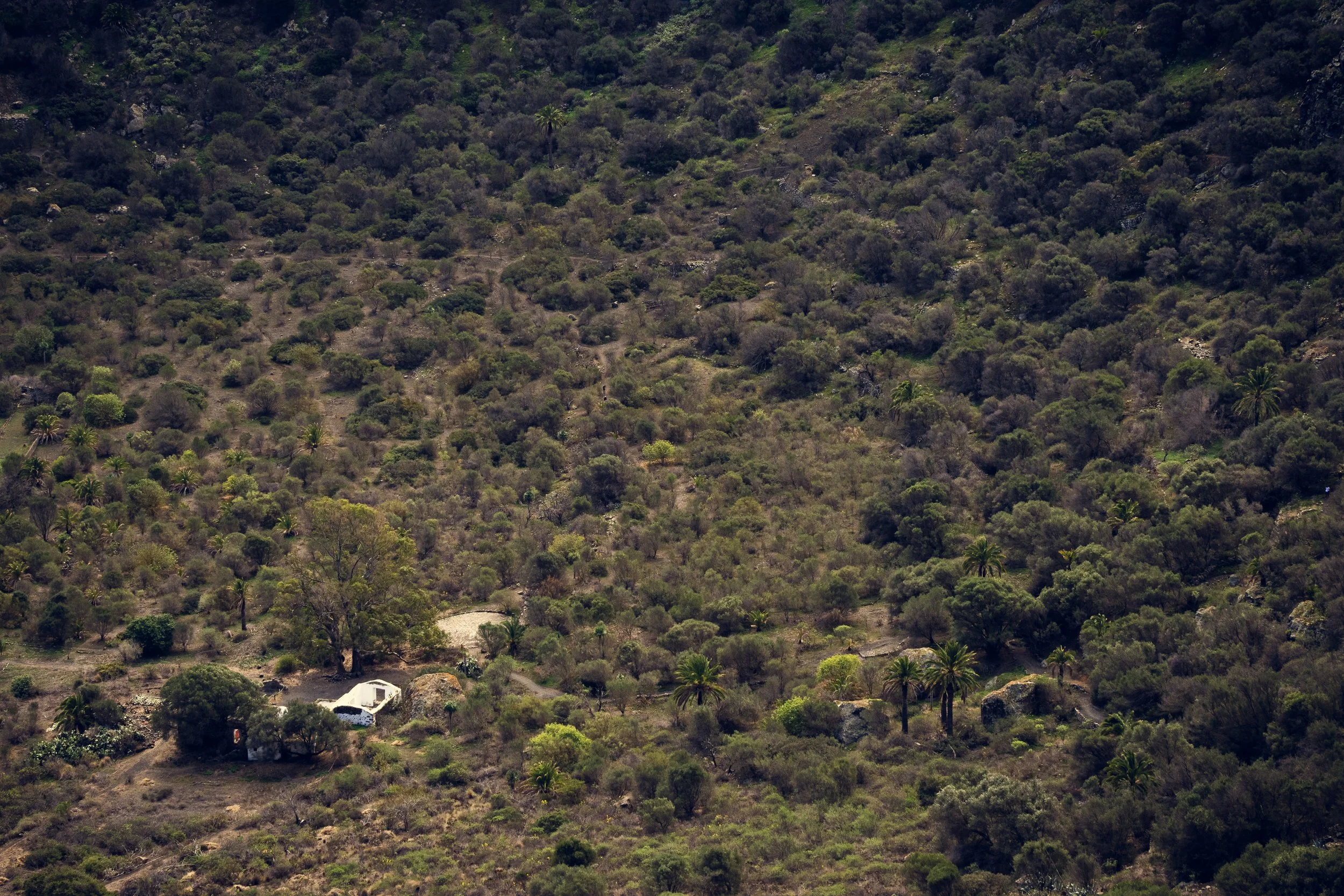 Bandama Caldera | Gran Canaria | Spain-_IMG8336-©Bjørn Joachimsen.jpg