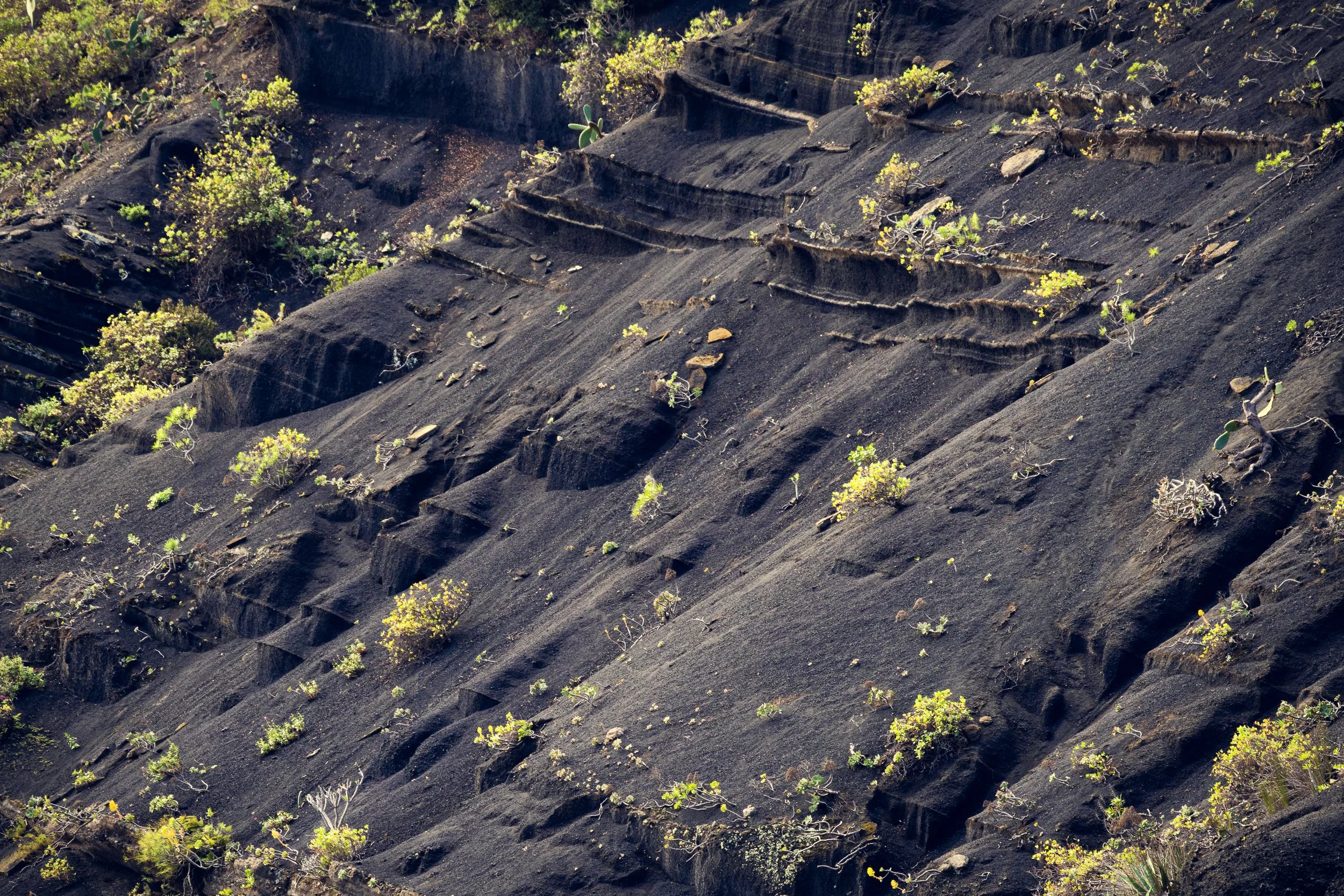 Bandama Caldera | Gran Canaria | Spain-_IMG8338-©Bjørn Joachimsen.jpg