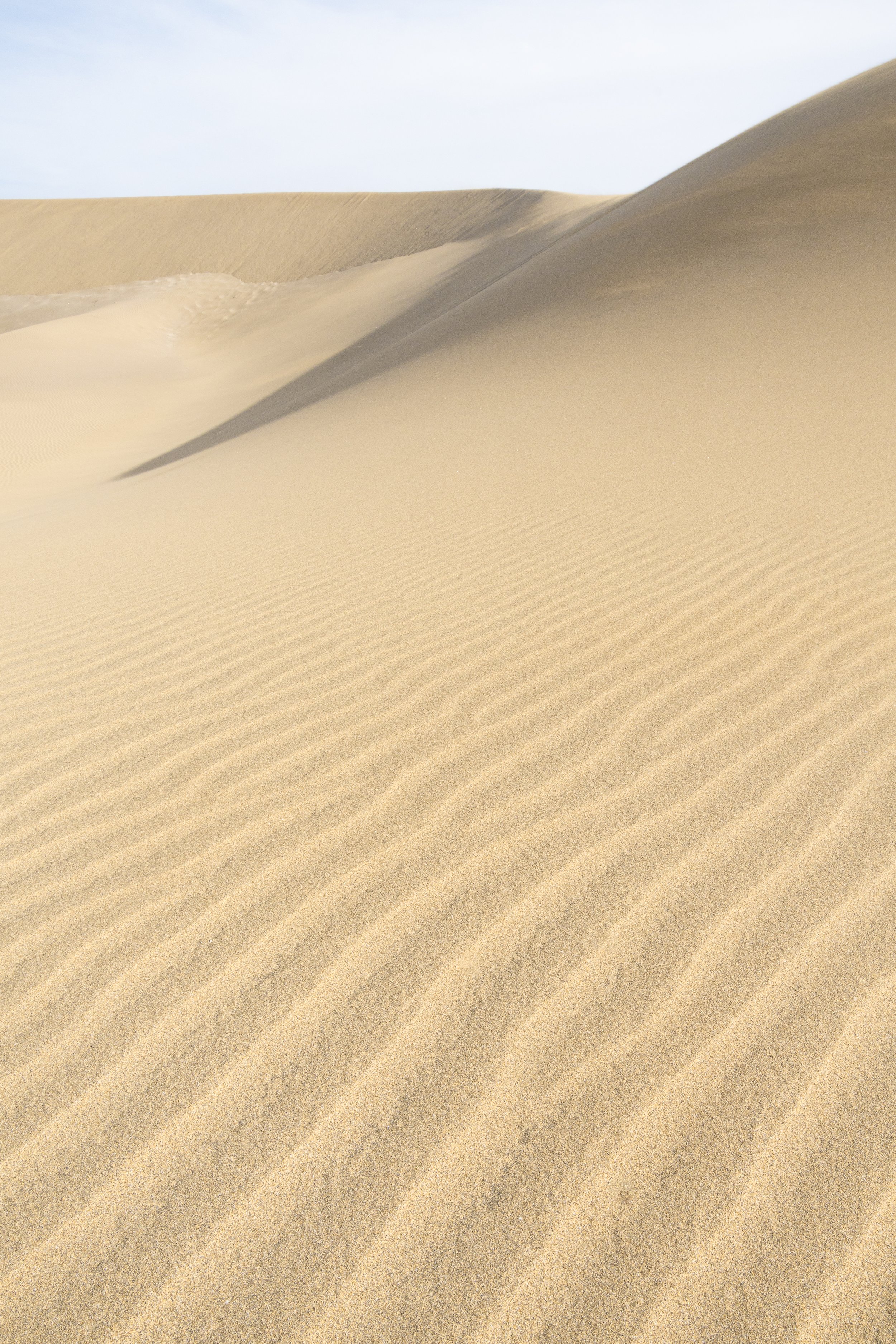 Dunas de Maspalomas | Gran Canaria | Spain-_IMG7203-©Bjørn Joachimsen.jpg