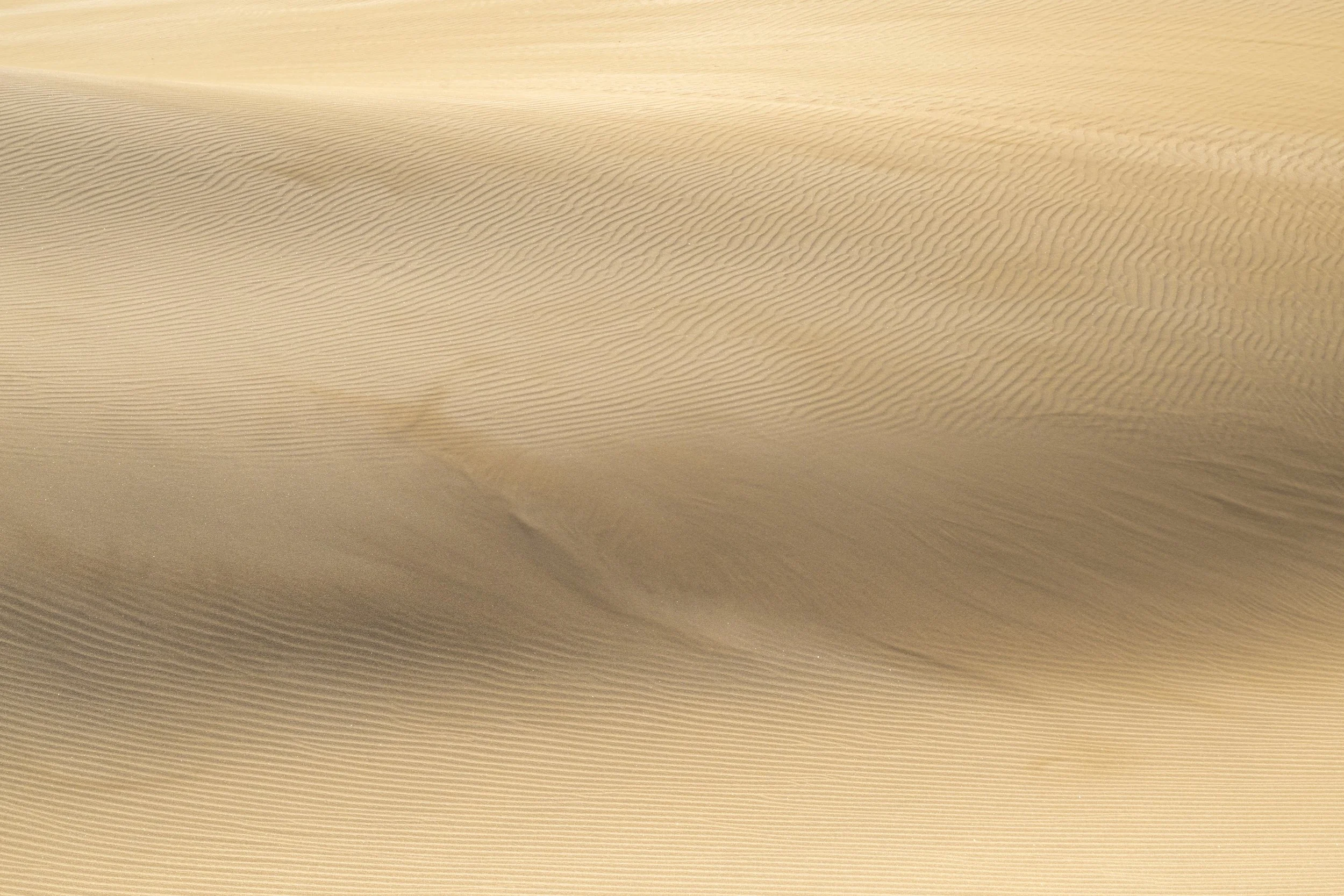 Dunas de Maspalomas | Gran Canaria | Spain-_IMG7204-©Bjørn Joachimsen.jpg