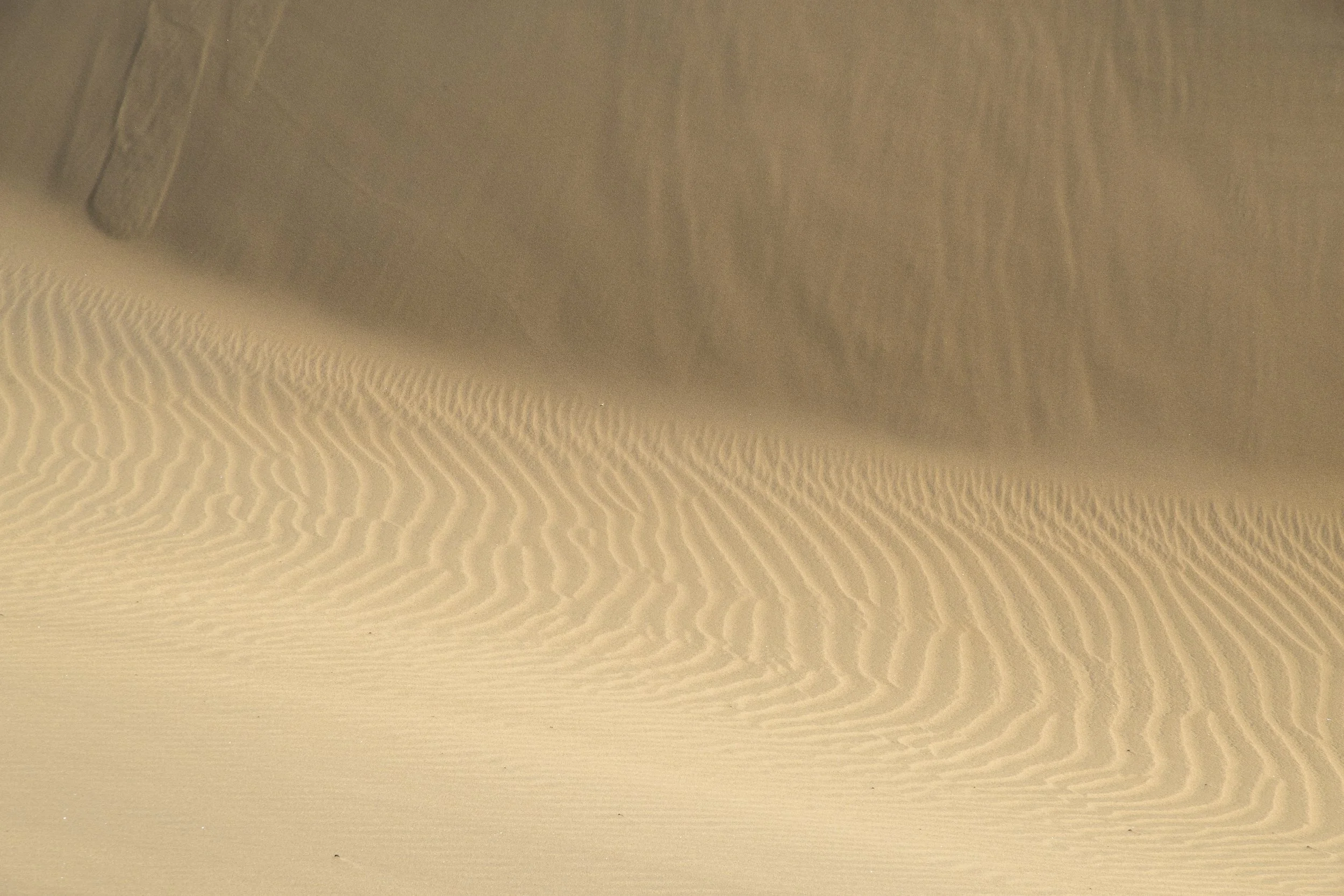 Dunas de Maspalomas | Gran Canaria | Spain-_IMG7206-©Bjørn Joachimsen.jpg