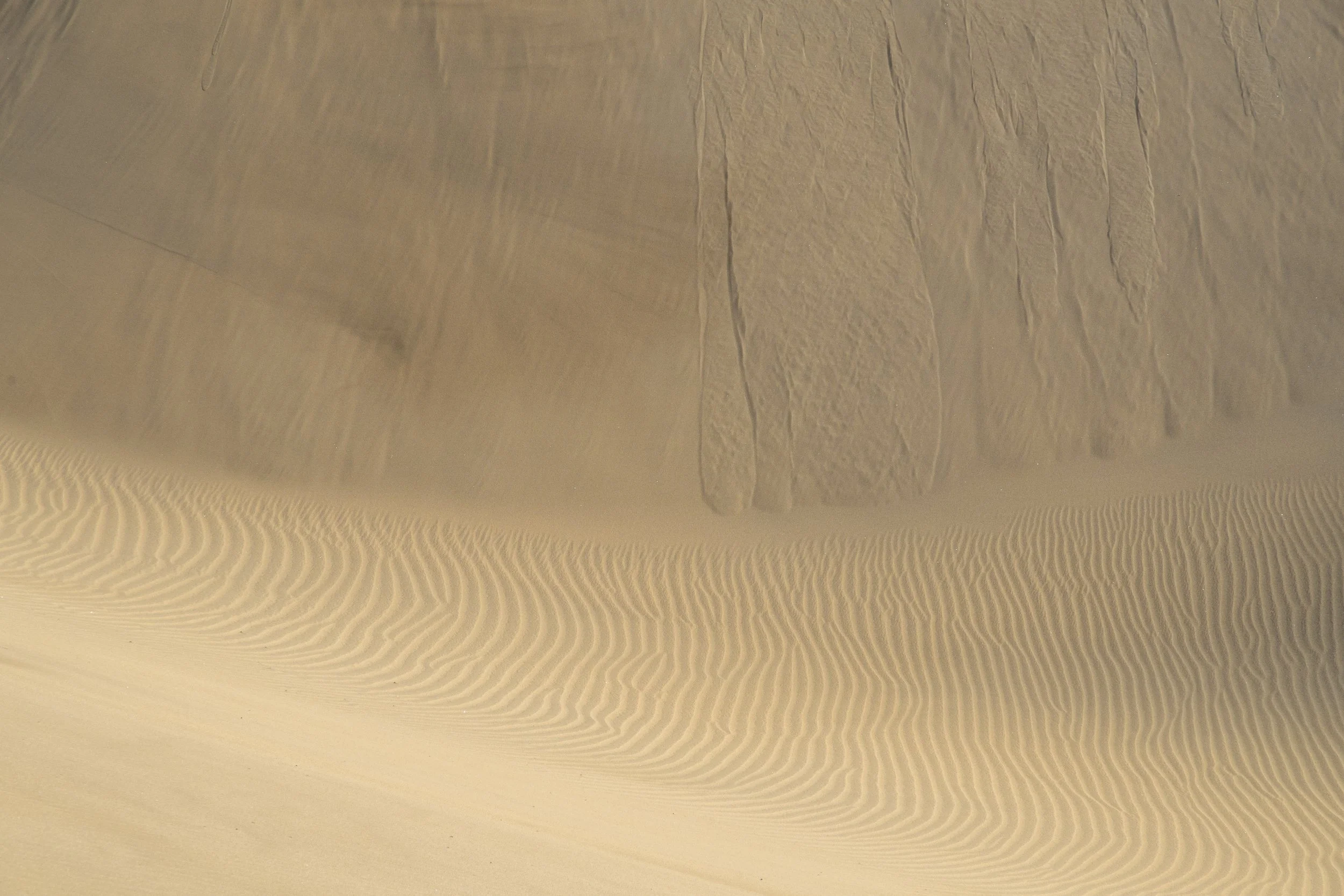 Dunas de Maspalomas | Gran Canaria | Spain-_IMG7212-©Bjørn Joachimsen.jpg