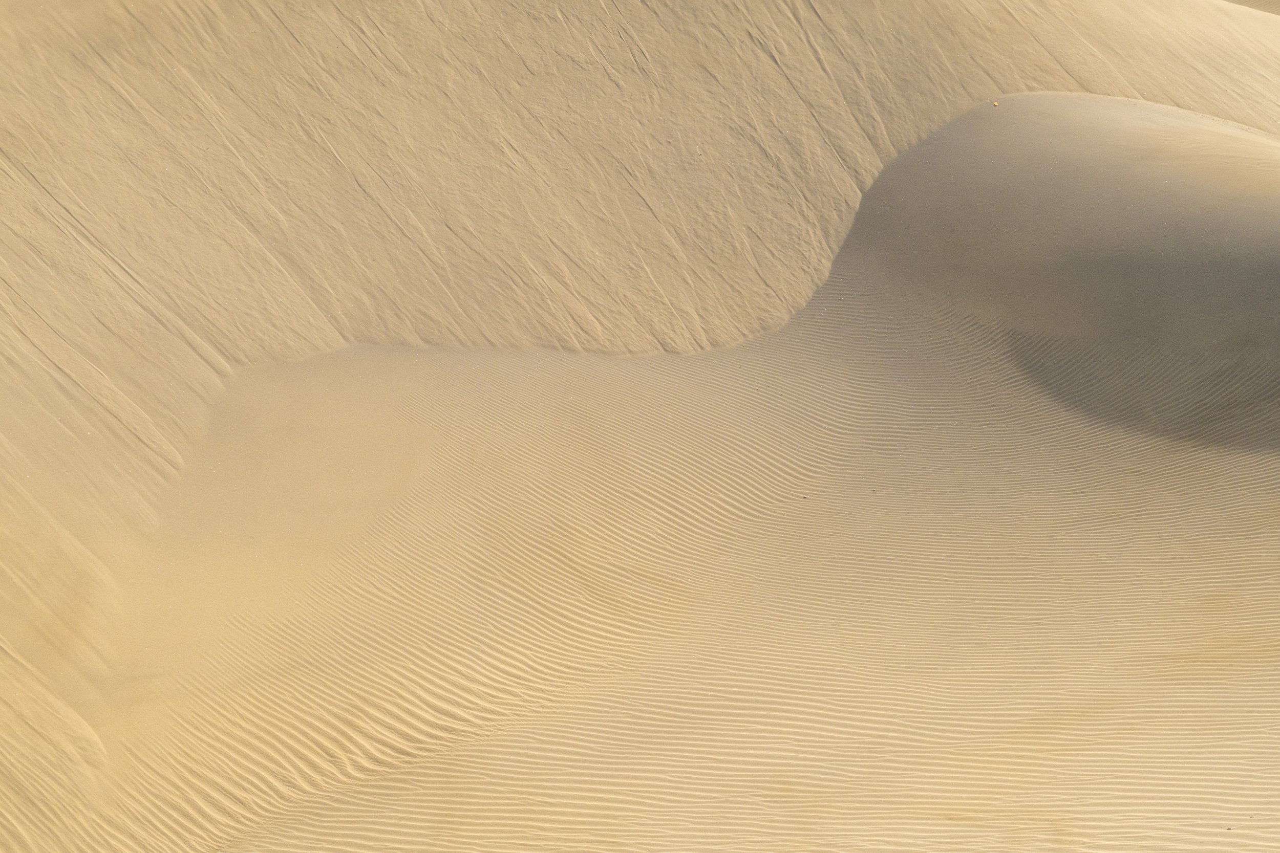 Dunas de Maspalomas | Gran Canaria | Spain-_IMG7220-©Bjørn Joachimsen.jpg