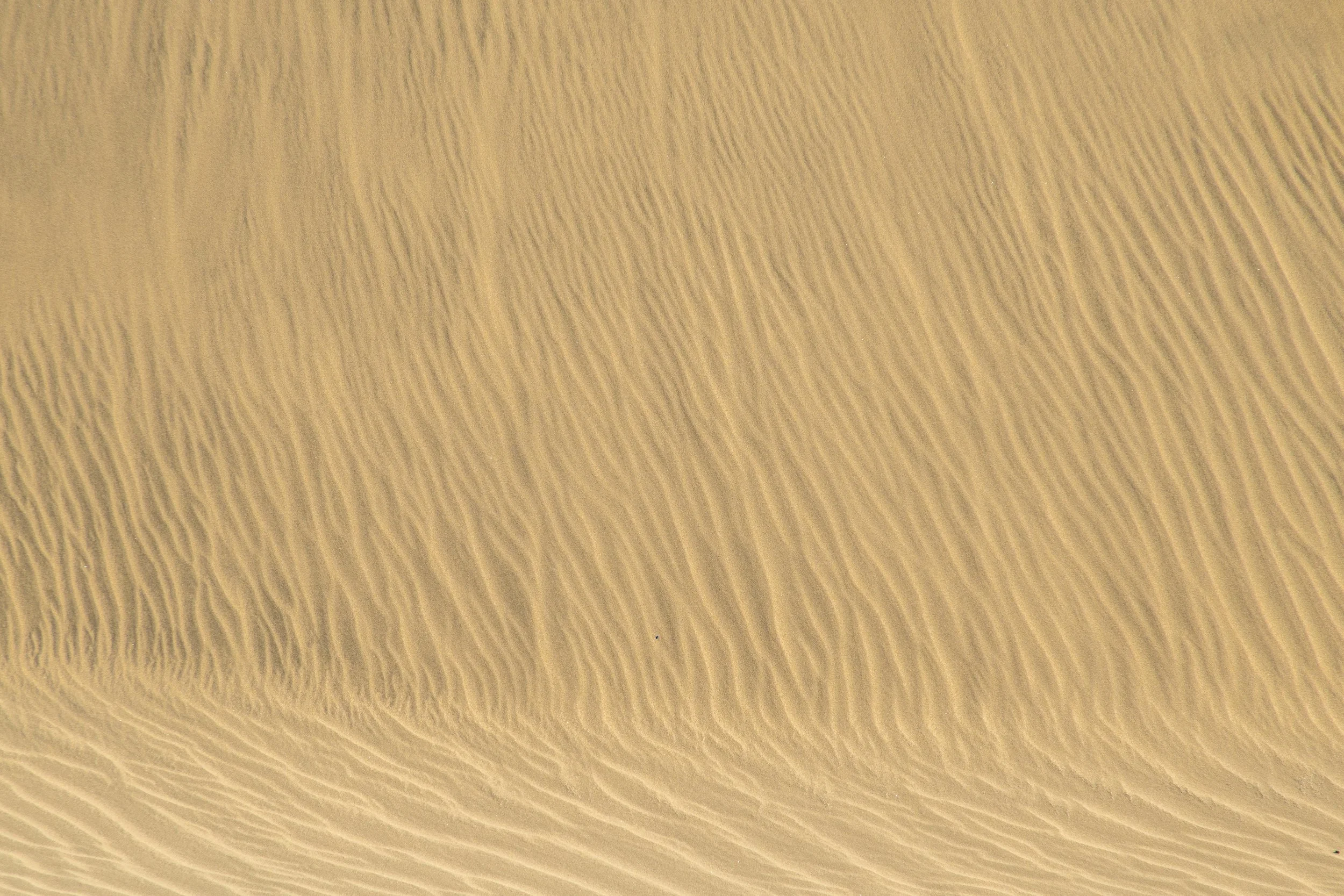 Dunas de Maspalomas | Gran Canaria | Spain-_IMG7222-©Bjørn Joachimsen.jpg