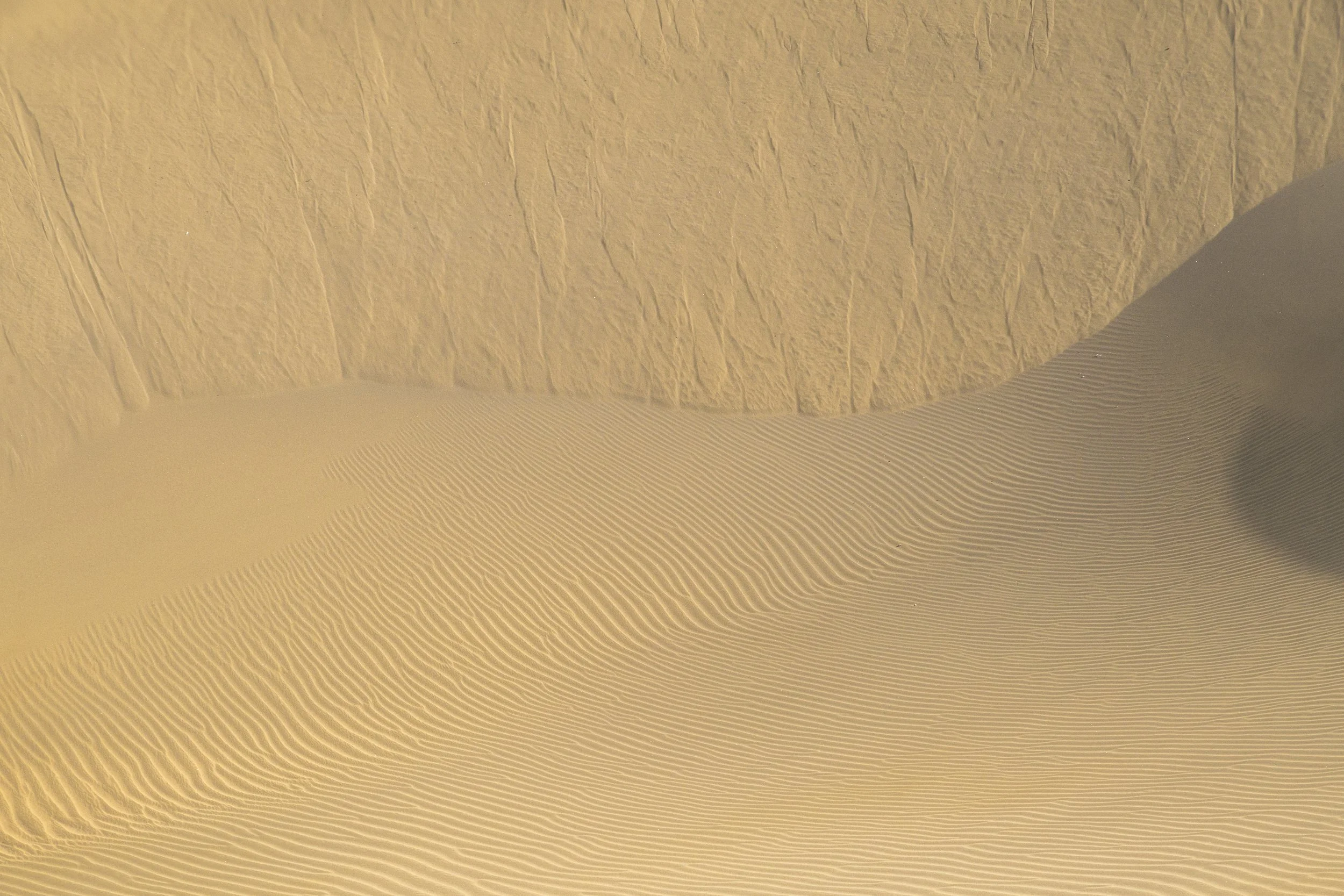 Dunas de Maspalomas | Gran Canaria | Spain-_IMG7227-©Bjørn Joachimsen.jpg
