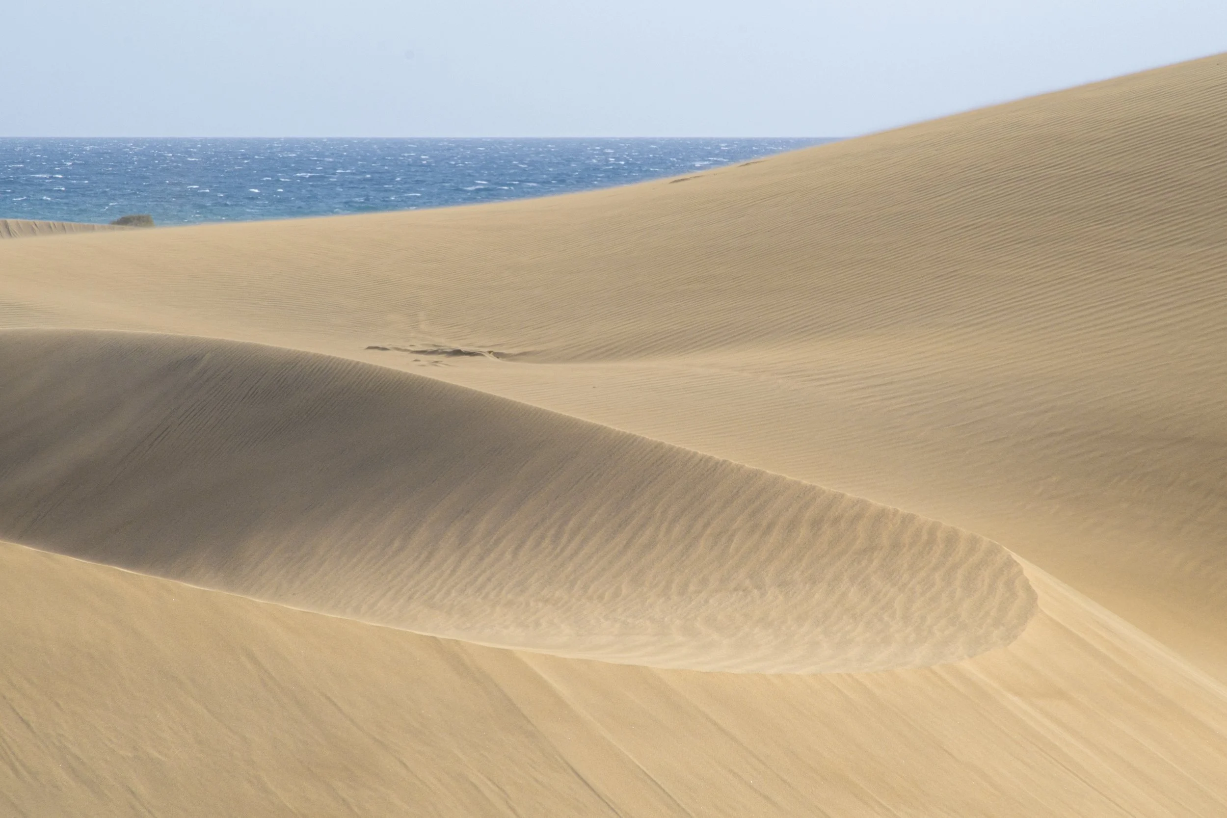 Dunas de Maspalomas | Gran Canaria | Spain-_IMG7234-©Bjørn Joachimsen.jpg