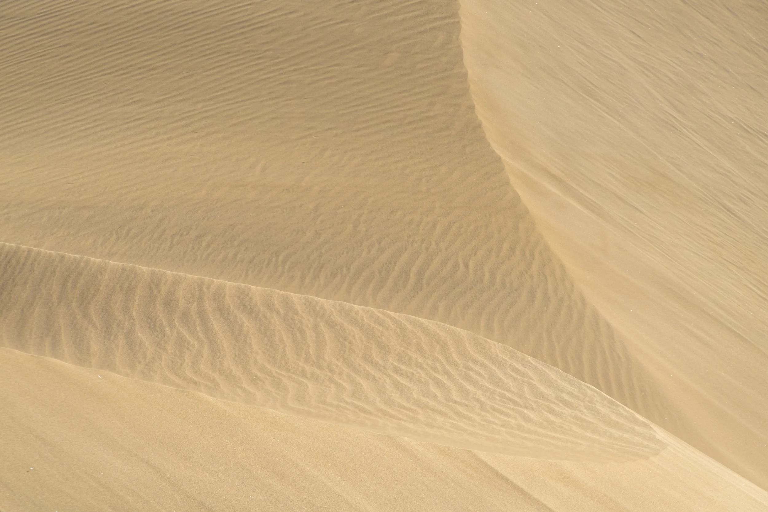 Dunas de Maspalomas | Gran Canaria | Spain-_IMG7252-©Bjørn Joachimsen.jpg