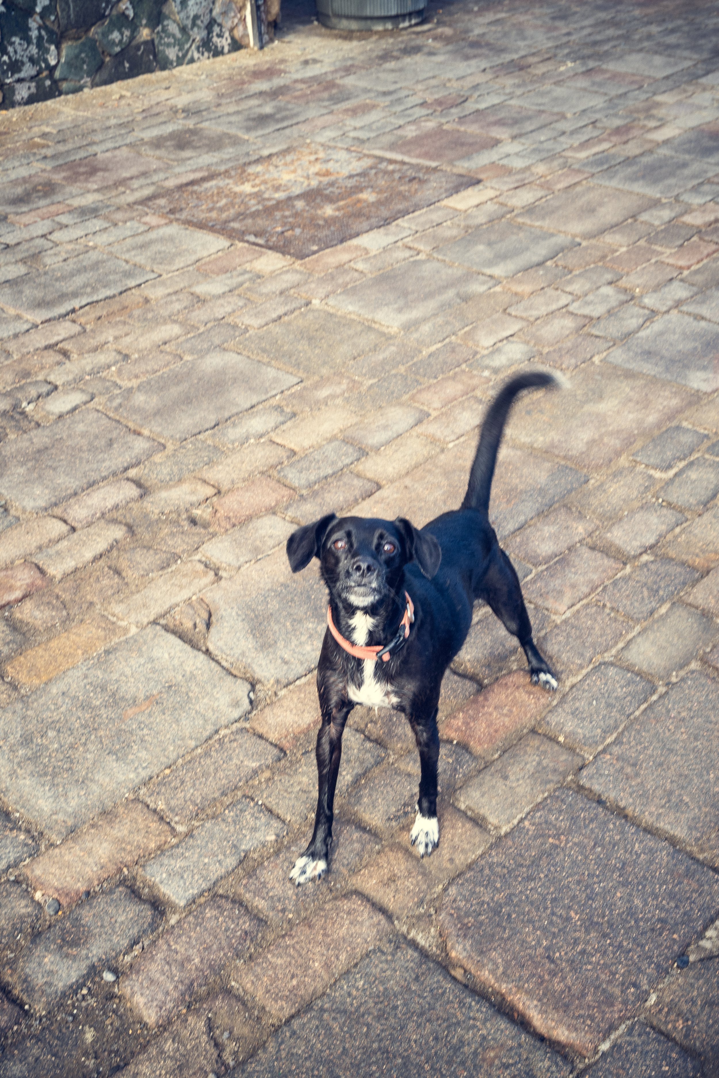 San Cristobal | Gran Canaria | Spain-_IMG7630-©Bjørn Joachimsen.jpg