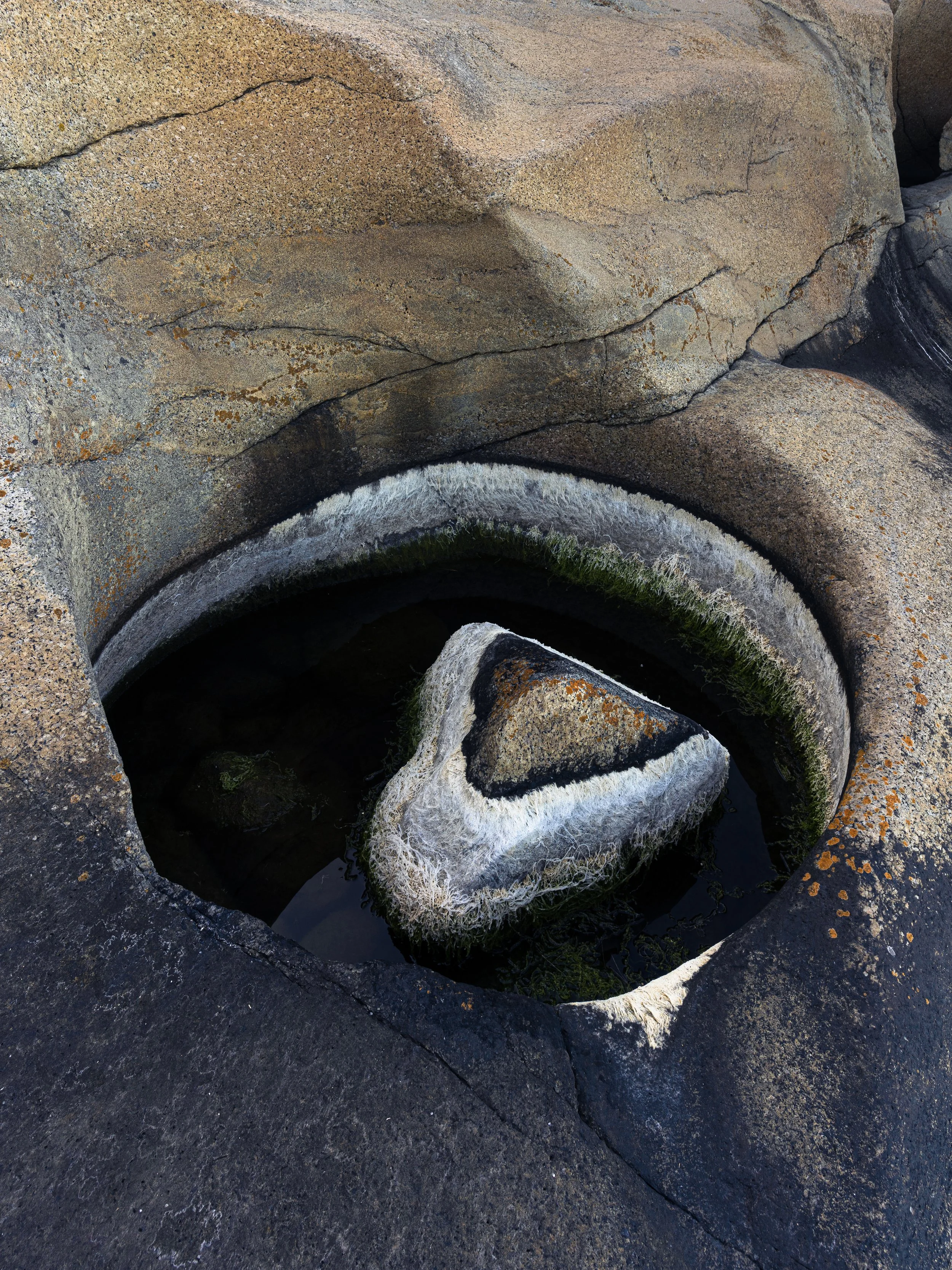 Helgerødtangen Færder National Park-_DSC9472-©Bjørn Joachimsen.jpg