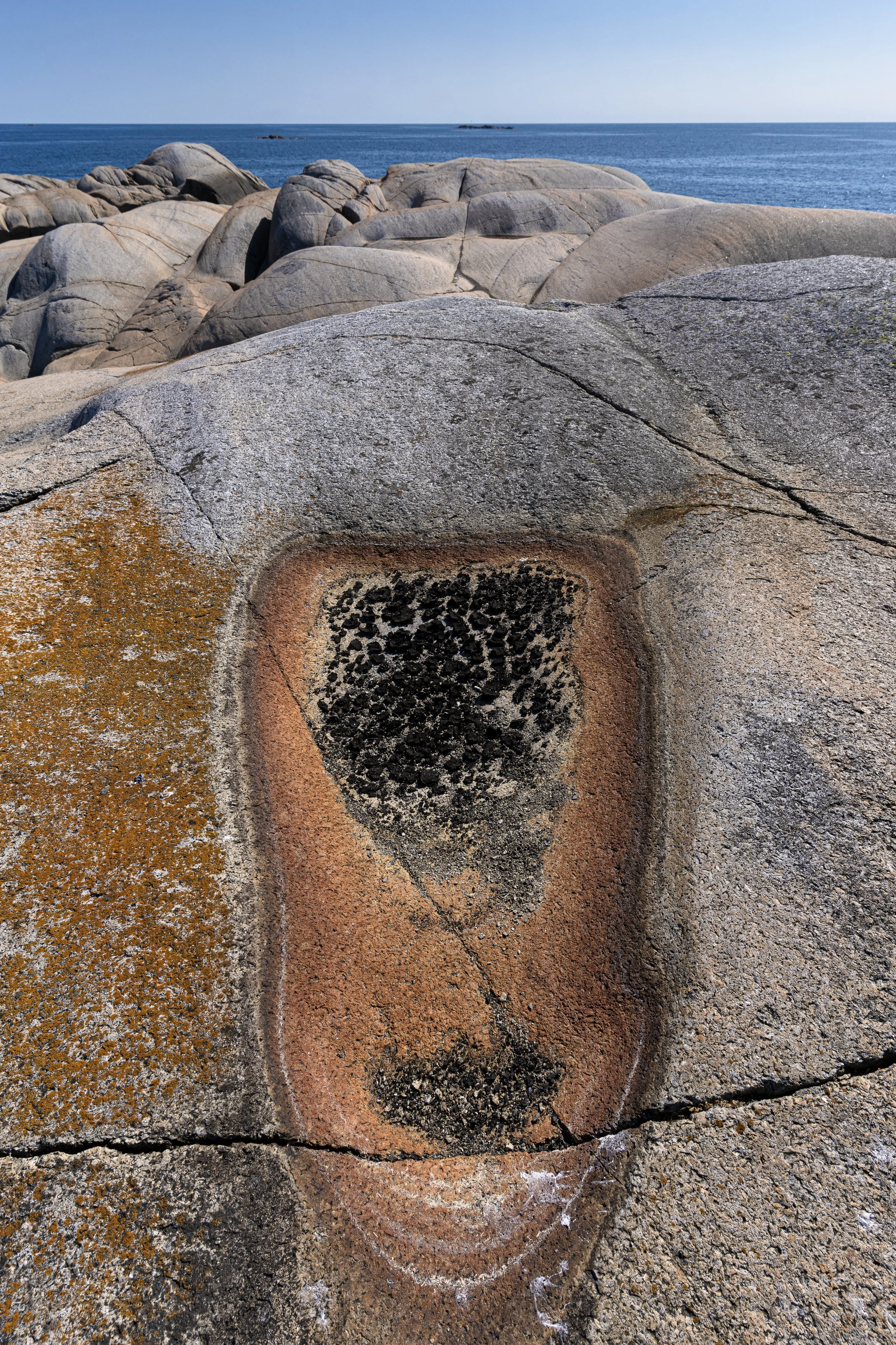 Helgerødtangen Færder National Park-_DSC9463-©Bjørn Joachimsen.jpg