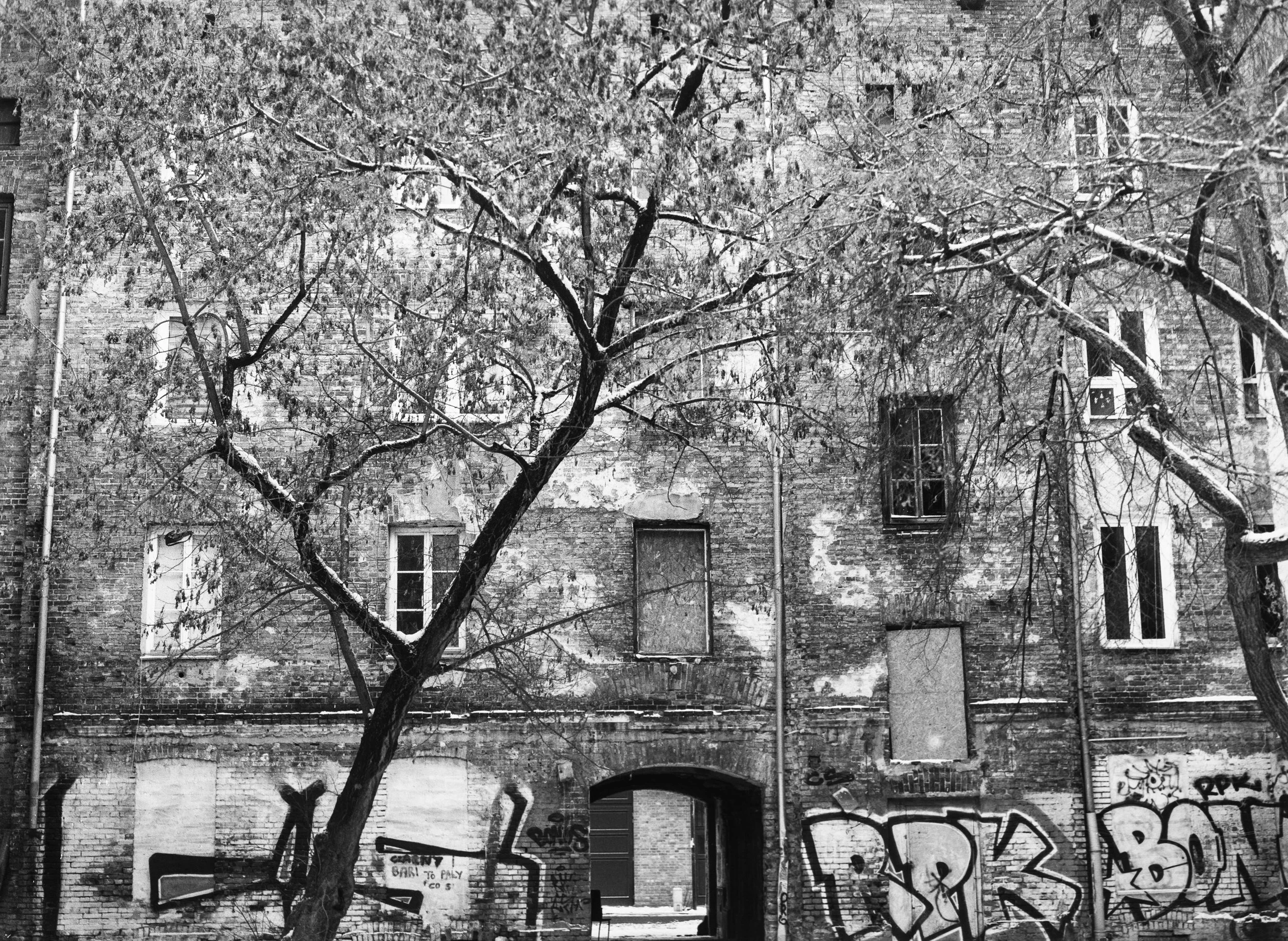 -IMG-02833-©Bjørn Joachimsen.jpg