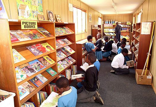 A library in South Africa (pic from National Libraries website)