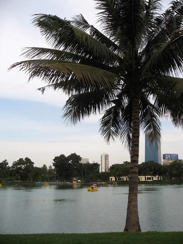 More tropical haven in the city.
