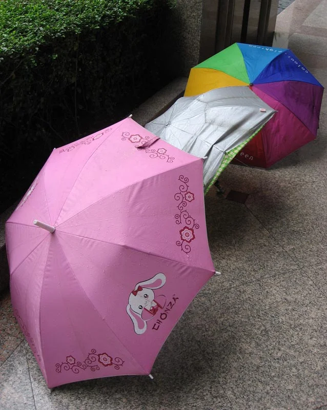 Adding some color to a rainy day.
