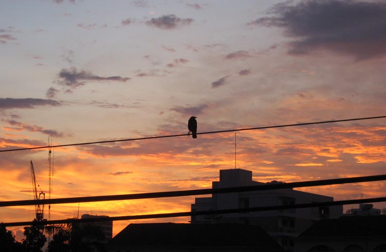 Bangkok Week 65<br><small>24 September 2009</small>