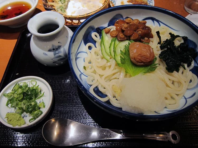 Next, udon with a giant umeboshi and other non-meat goodies.