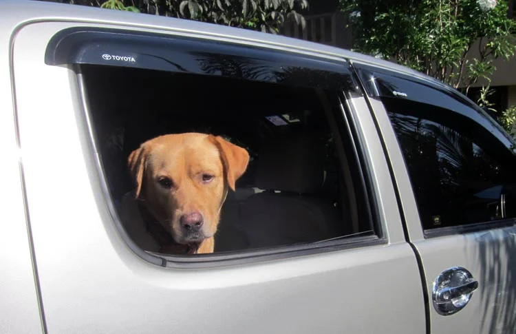 "Uh oh. Where are we going?"