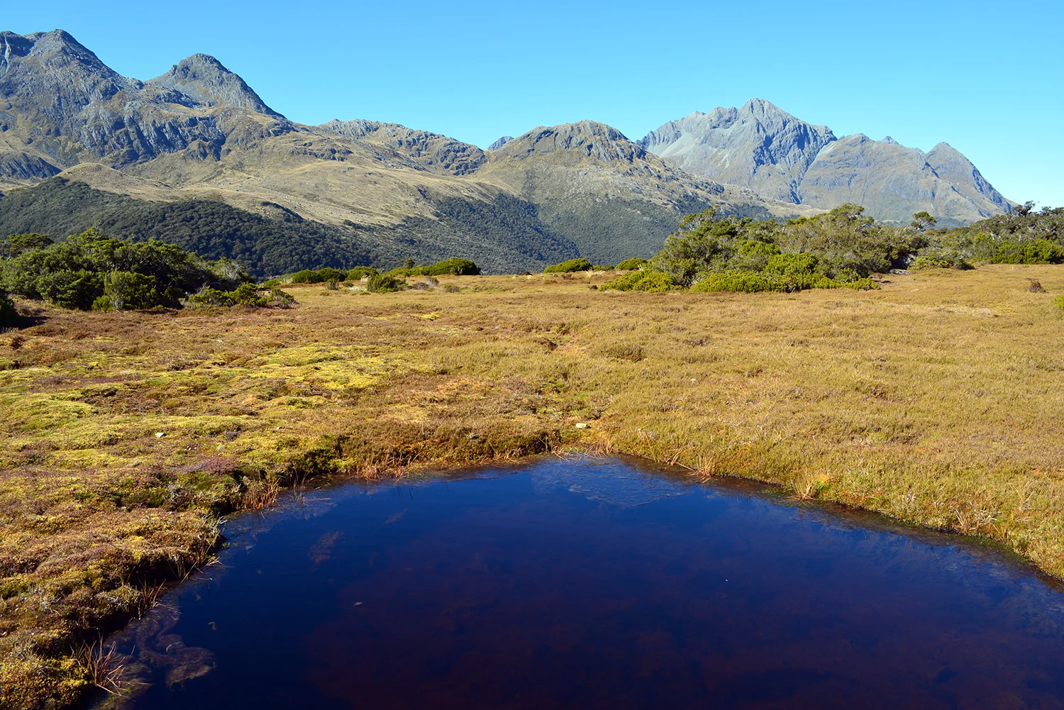 Marsh-like lakes all the way up here.