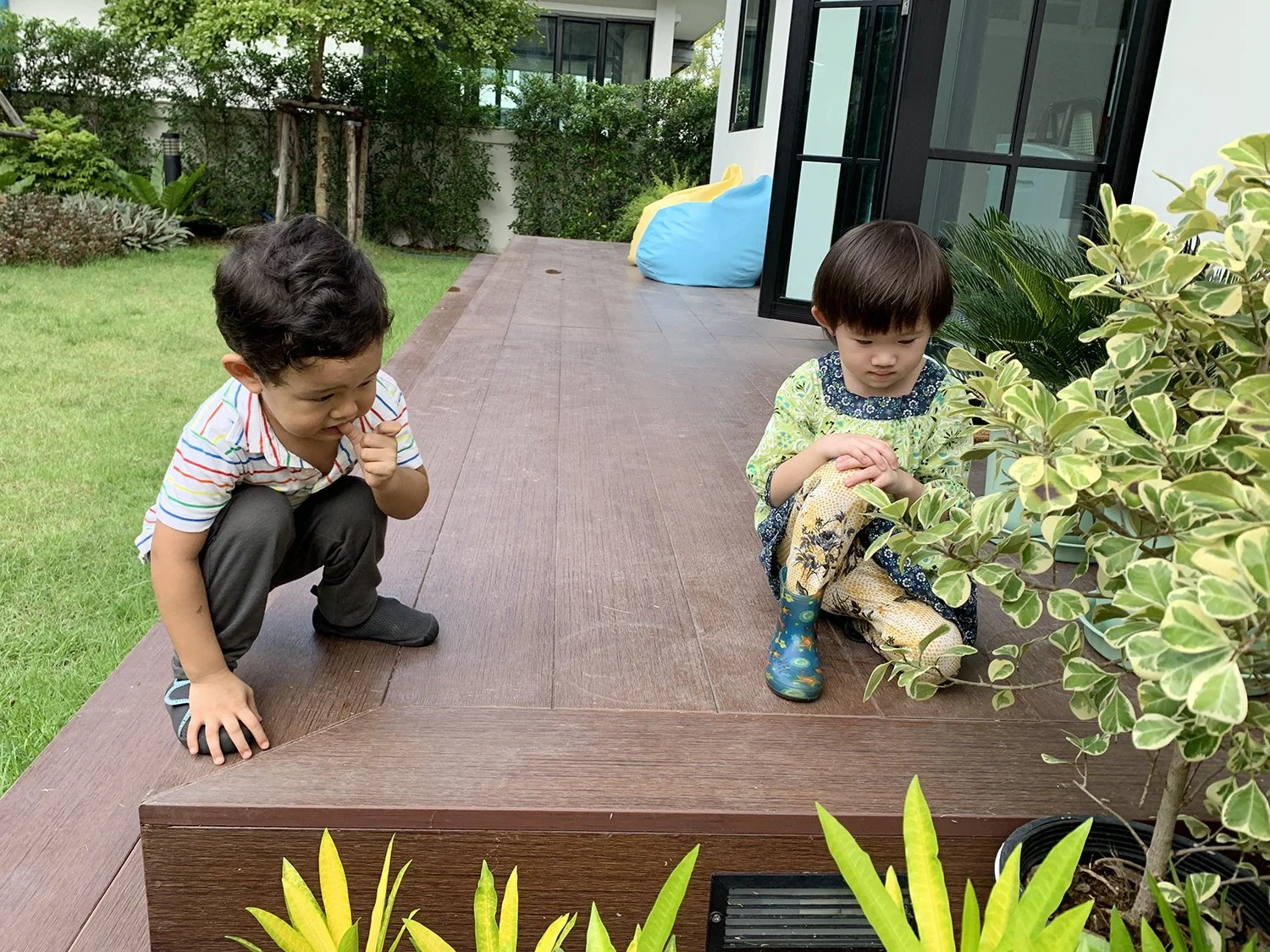 On Sunday, Arlo got to visit P'Kate at her now house. Here, she shows him a giant snail.