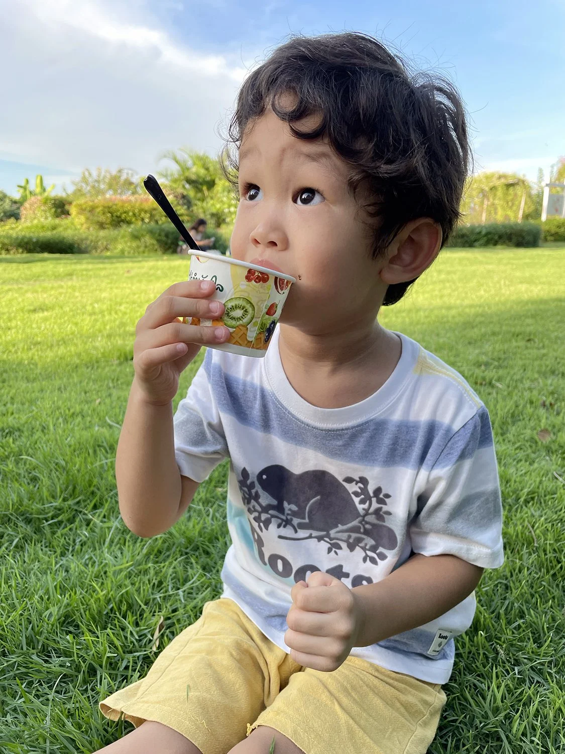 Enjoying his ice cream, and waiting to see what vehicles are going to exit the construction site.