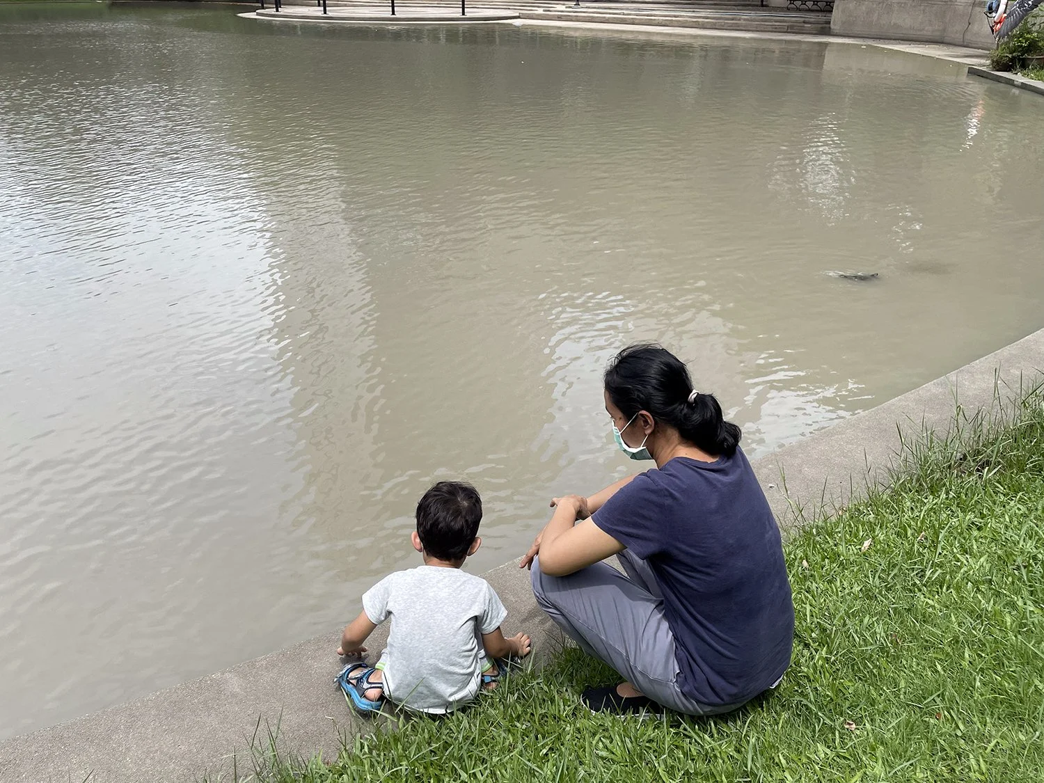 Talking to the turtles (who were very disappointed that Arlo and K. Noi came without any food for them).