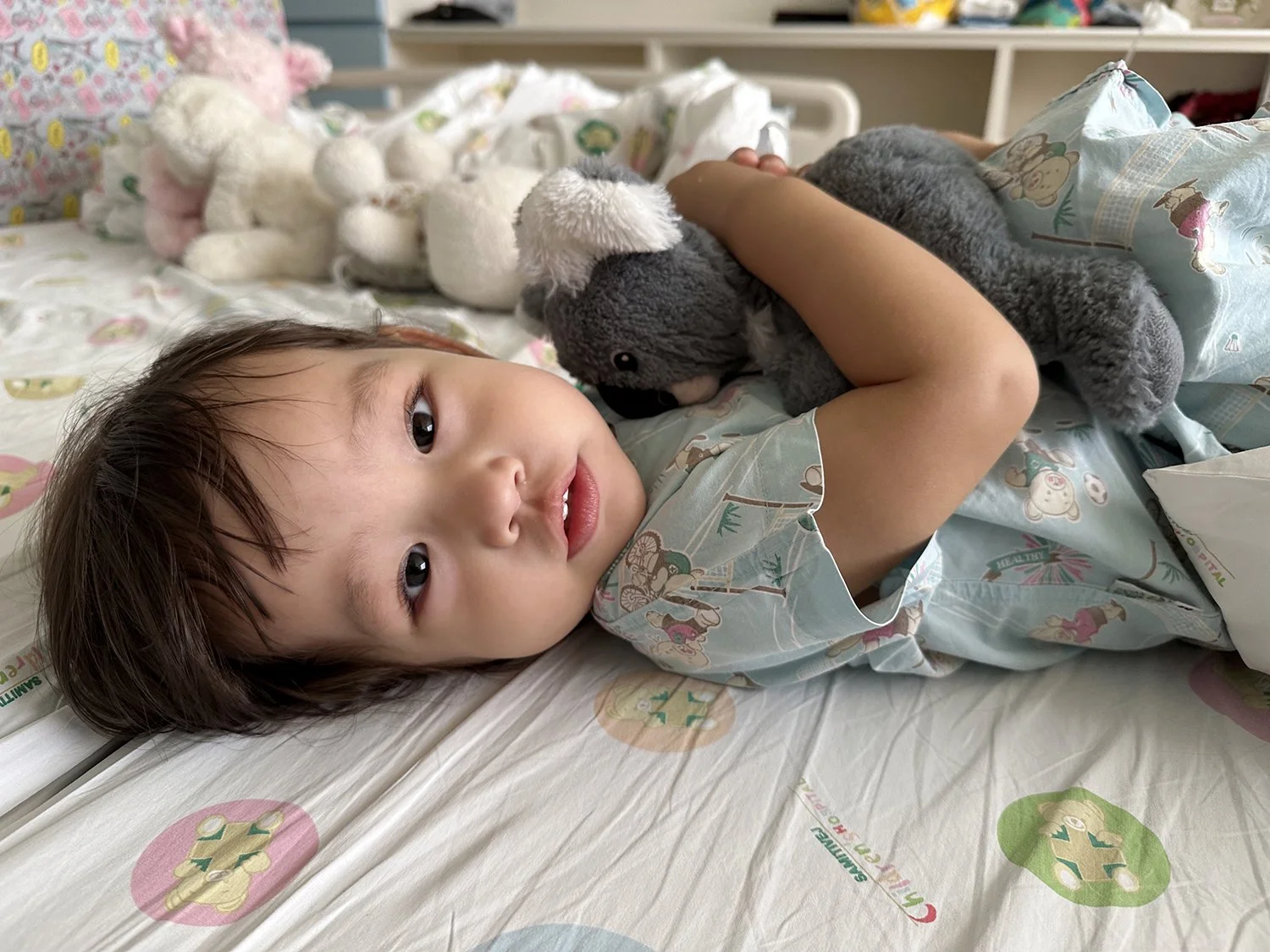 Hugs for koala. Thank you for keeping Lucy company, Koala!