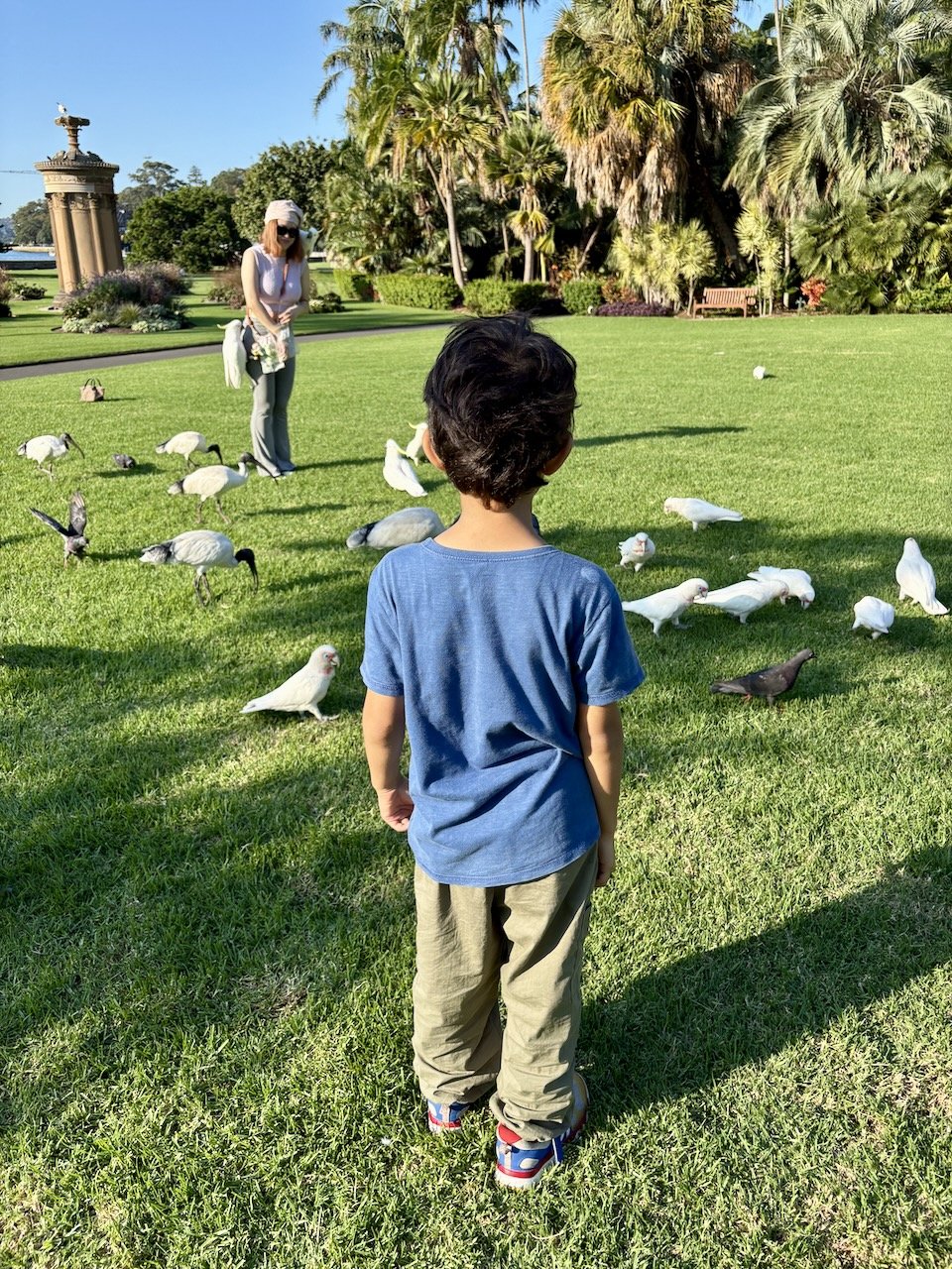 And Arlo's first look at cockatoos - the birds he would come to love.