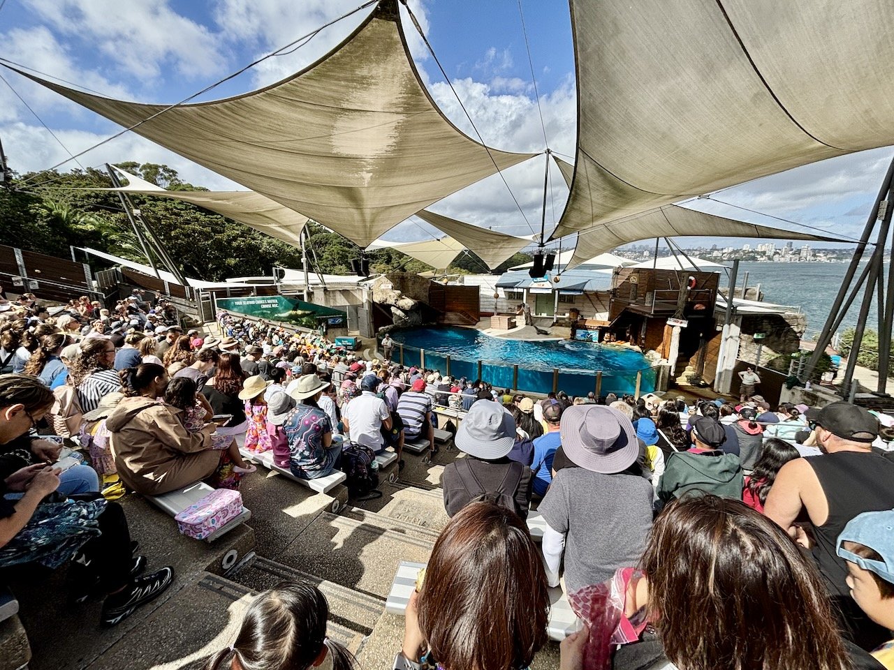 Piling in for the packed seal show! (I guess that's what you get during the Easter holidays!)